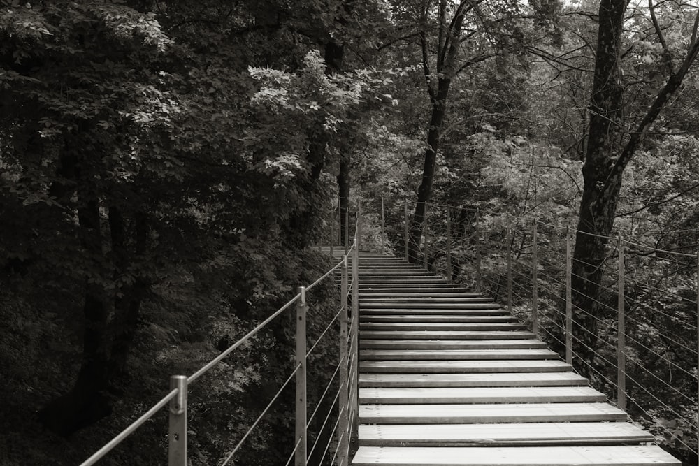 숲 속의 계단 세트의 흑백 사진