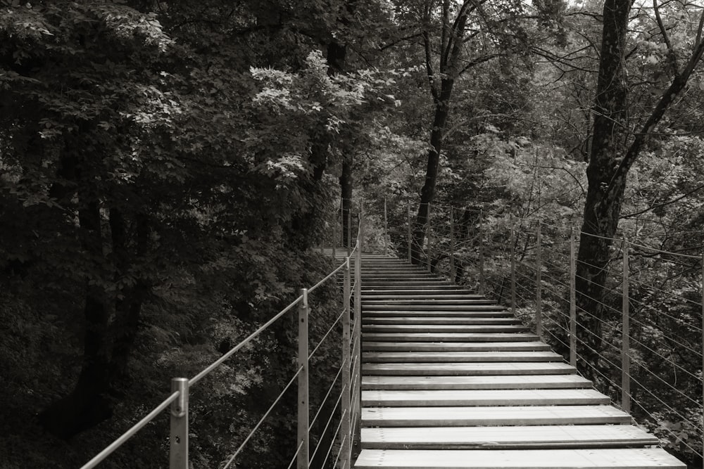 Photographie en noir et blanc d’un ensemble d’escaliers dans les bois