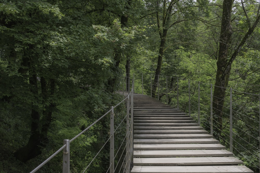 Un conjunto de escaleras que conducen a la cima de una colina