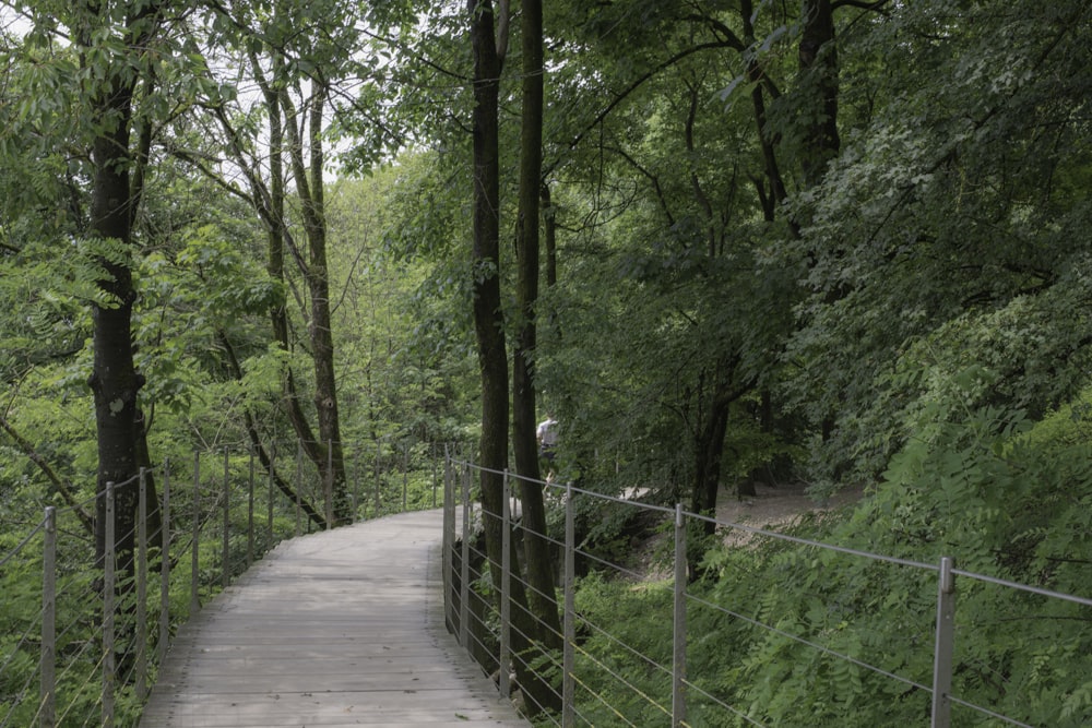 a wooden walkway in the middle of a forest