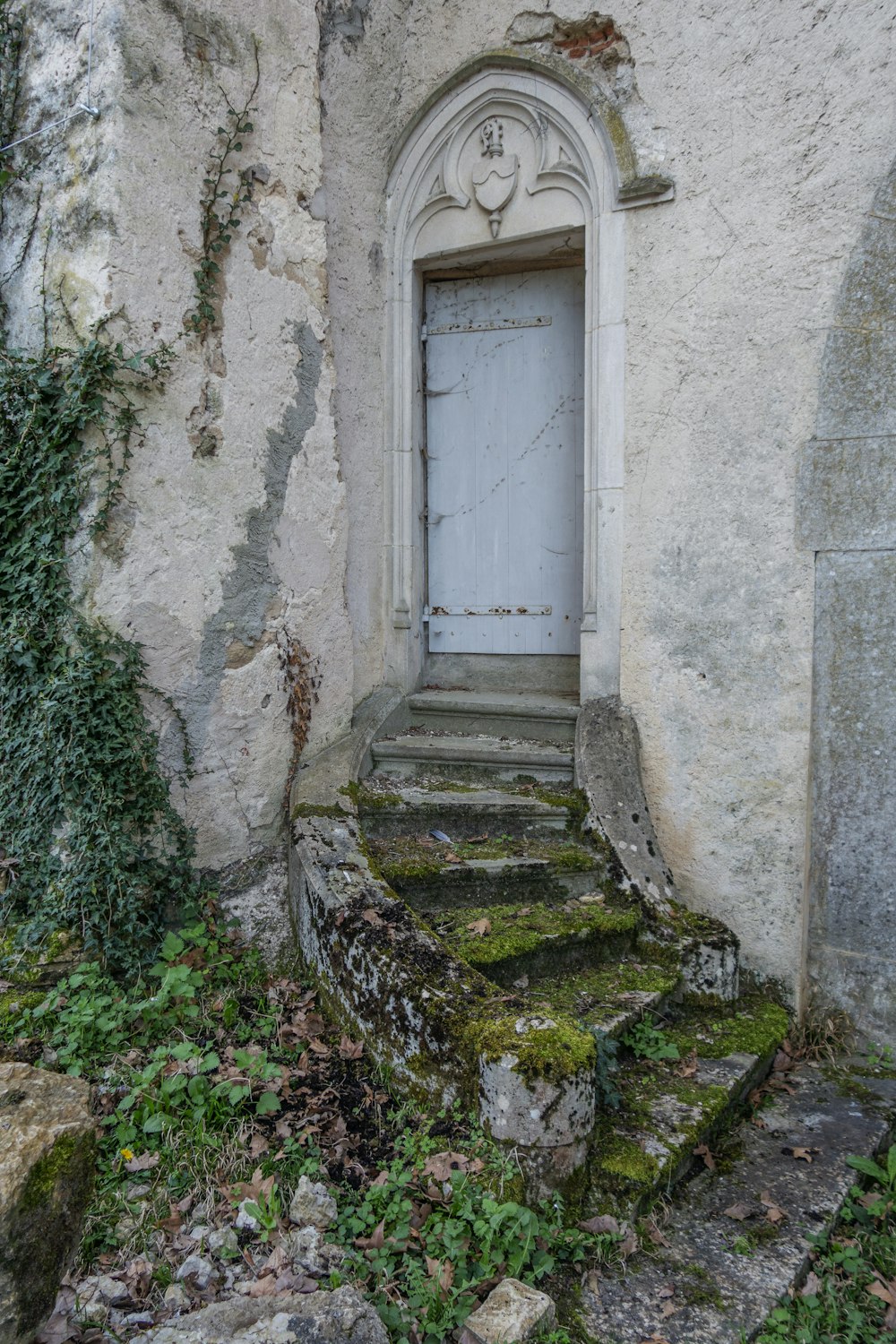 a doorway with moss growing on the outside of it