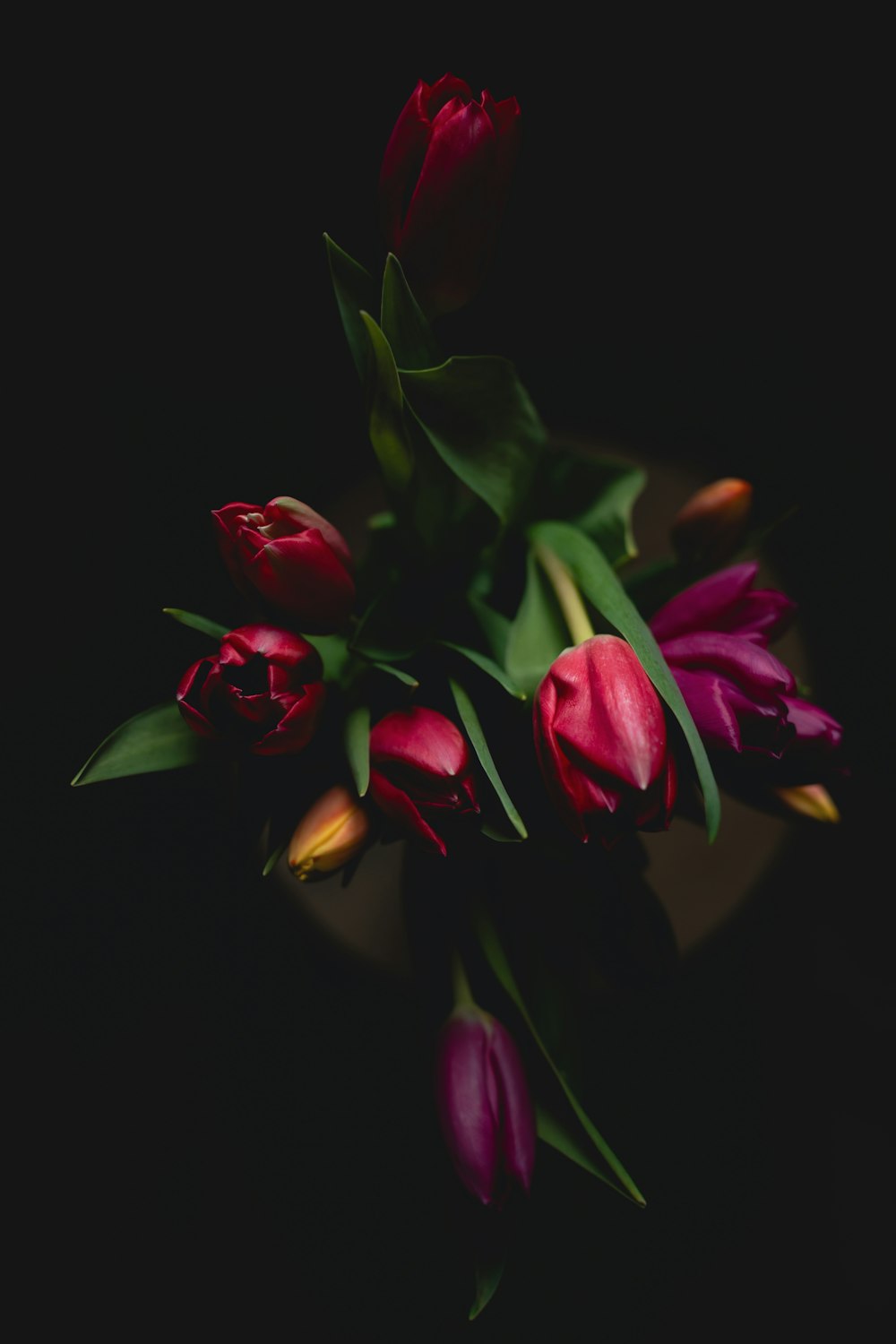 a bunch of red tulips in a vase