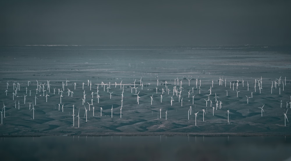 uma grande quantidade de moinhos de vento no oceano