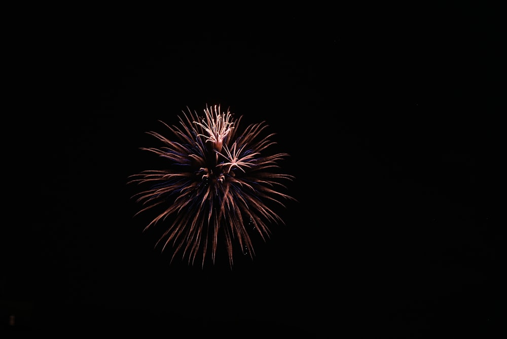 a fireworks is lit up in the dark sky