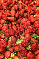 a large pile of strawberries sitting next to each other