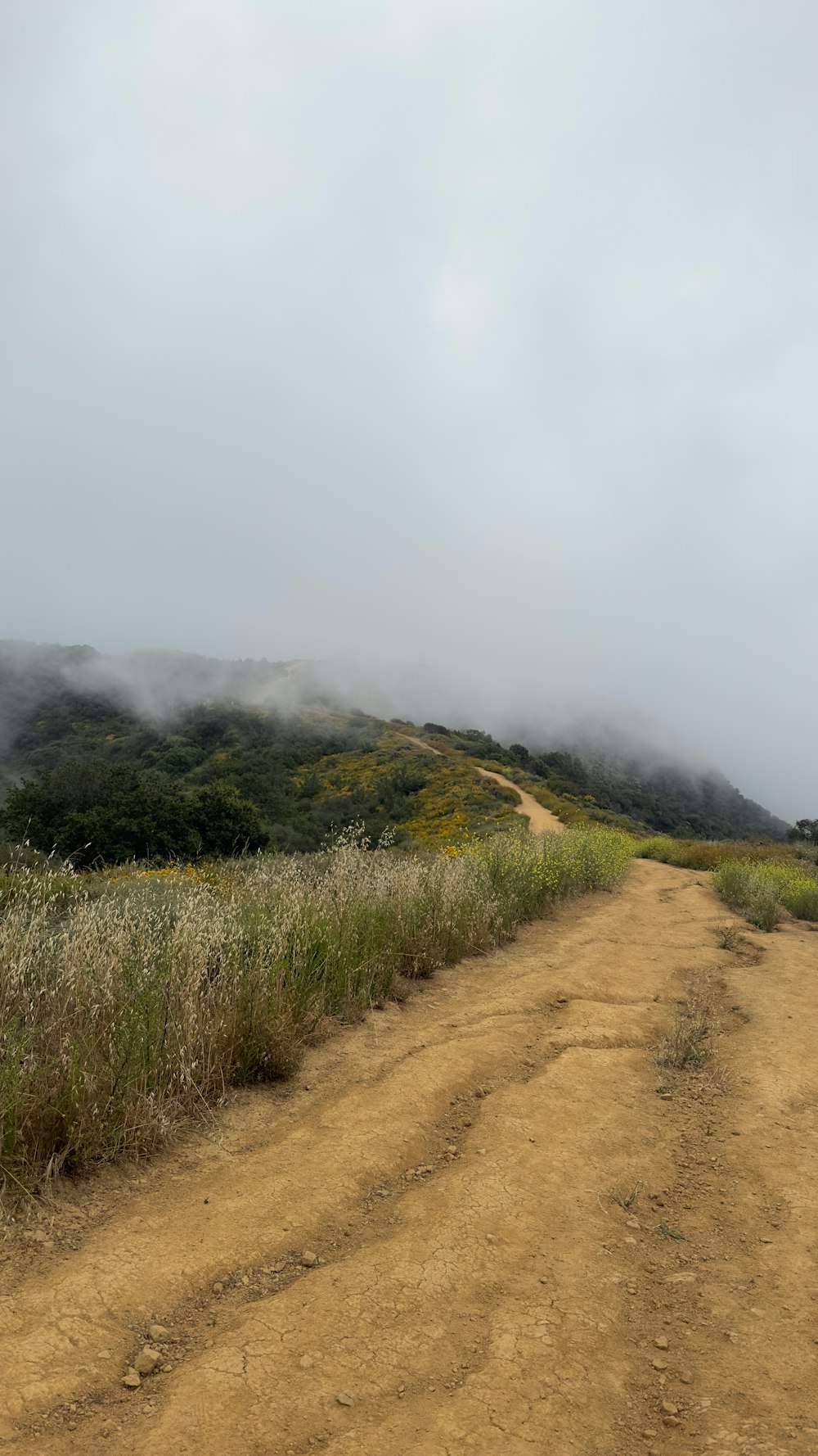 a dirt road with a hill in the background