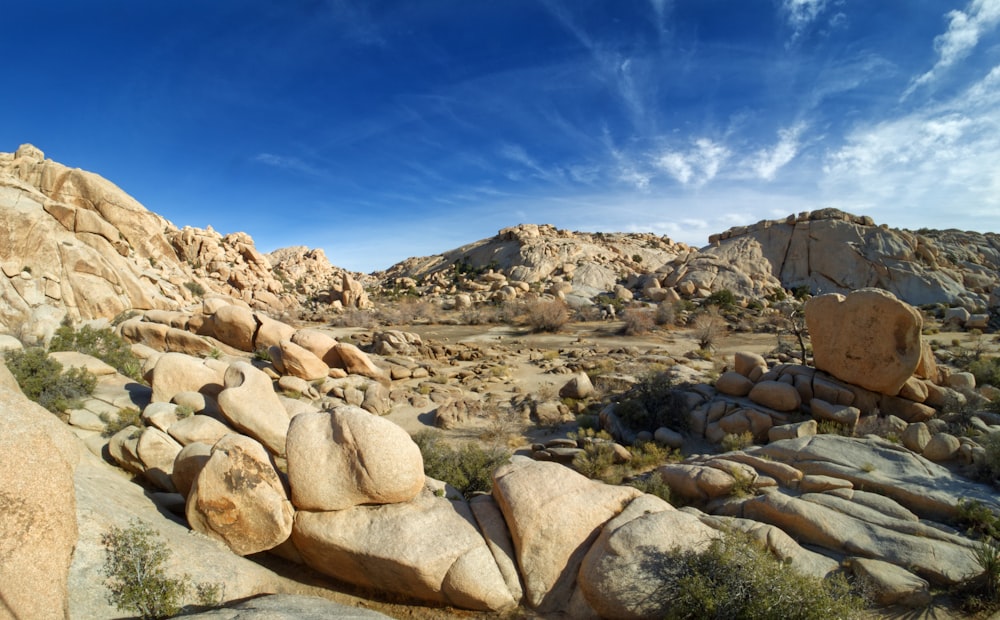 a rocky landscape with rocks and bushes under a blue sky