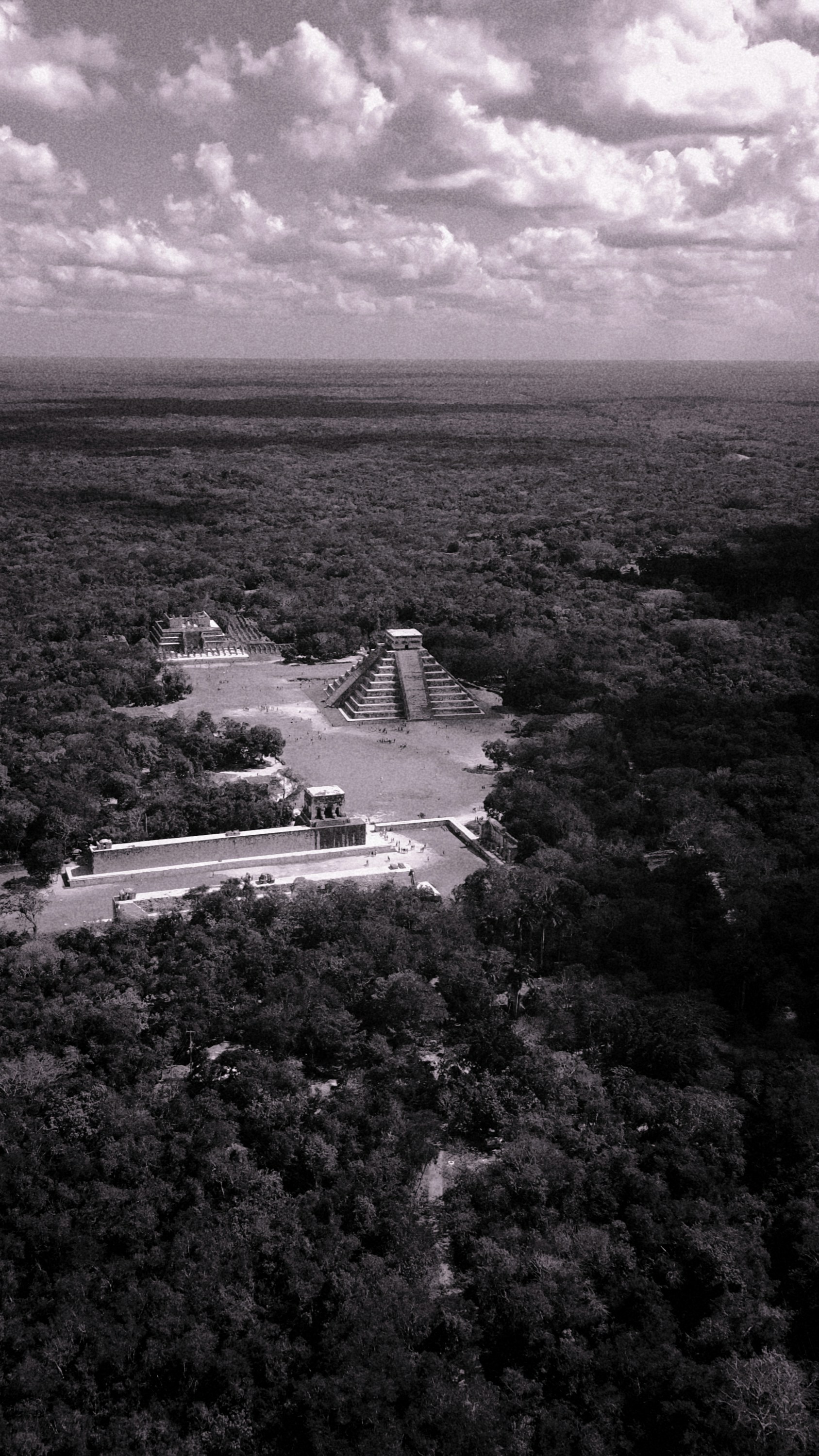 a black and white photo of a large pyramid in the middle of a forest