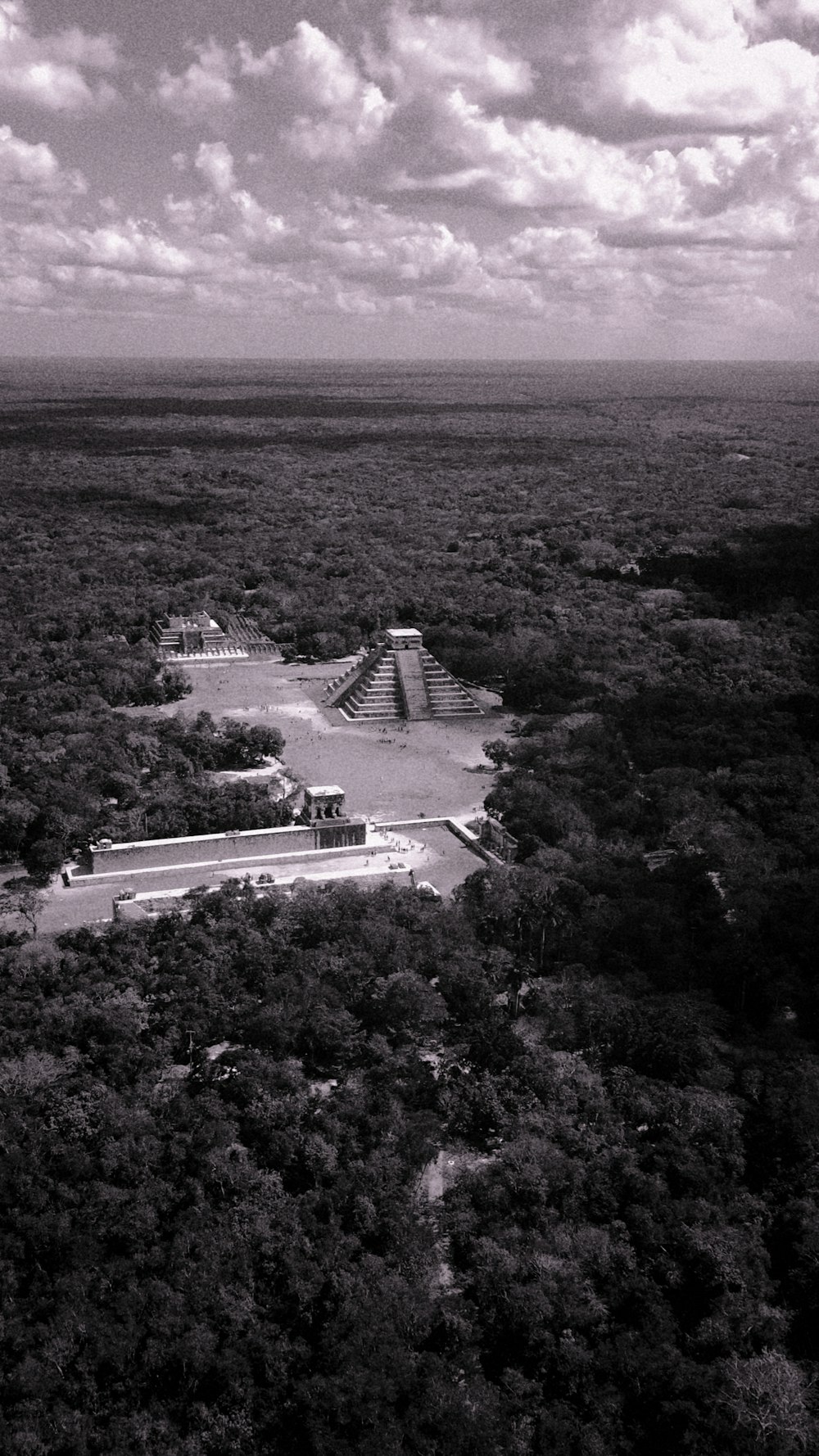 a black and white photo of a large pyramid in the middle of a forest