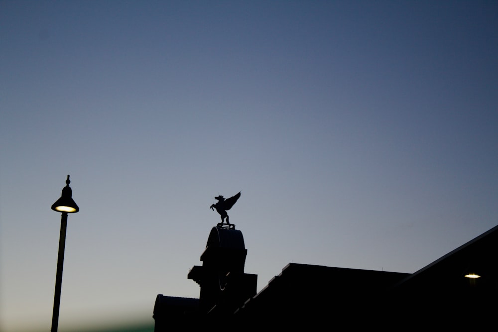 a silhouette of a bird on top of a building