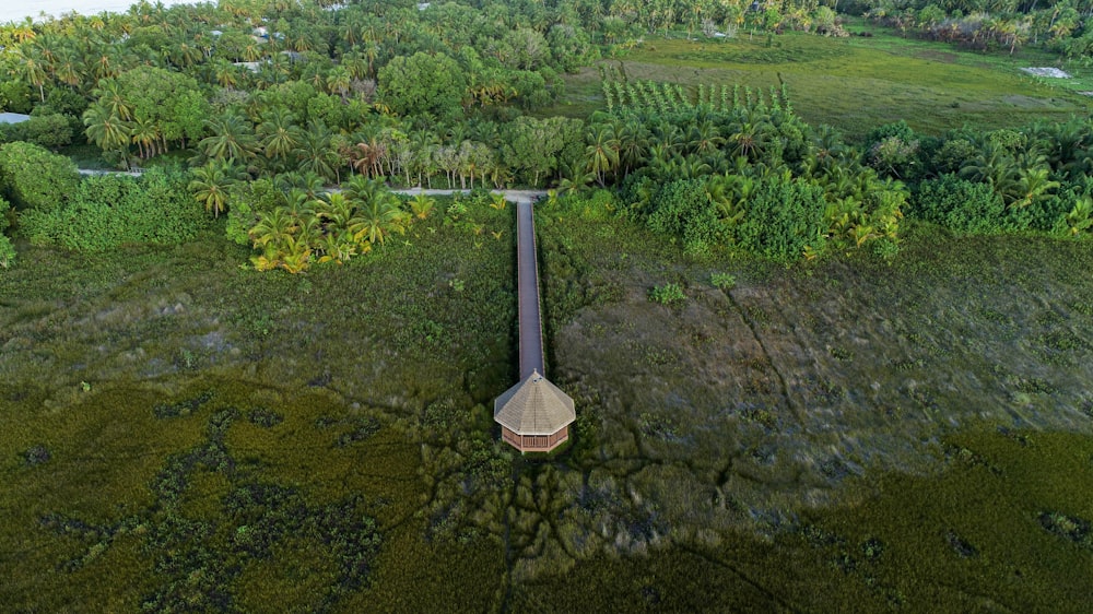an aerial view of a water tower surrounded by trees