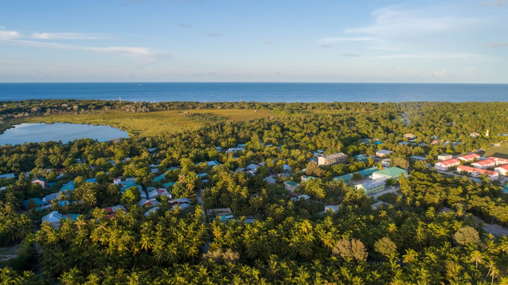 a bird's eye view of a resort surrounded by trees