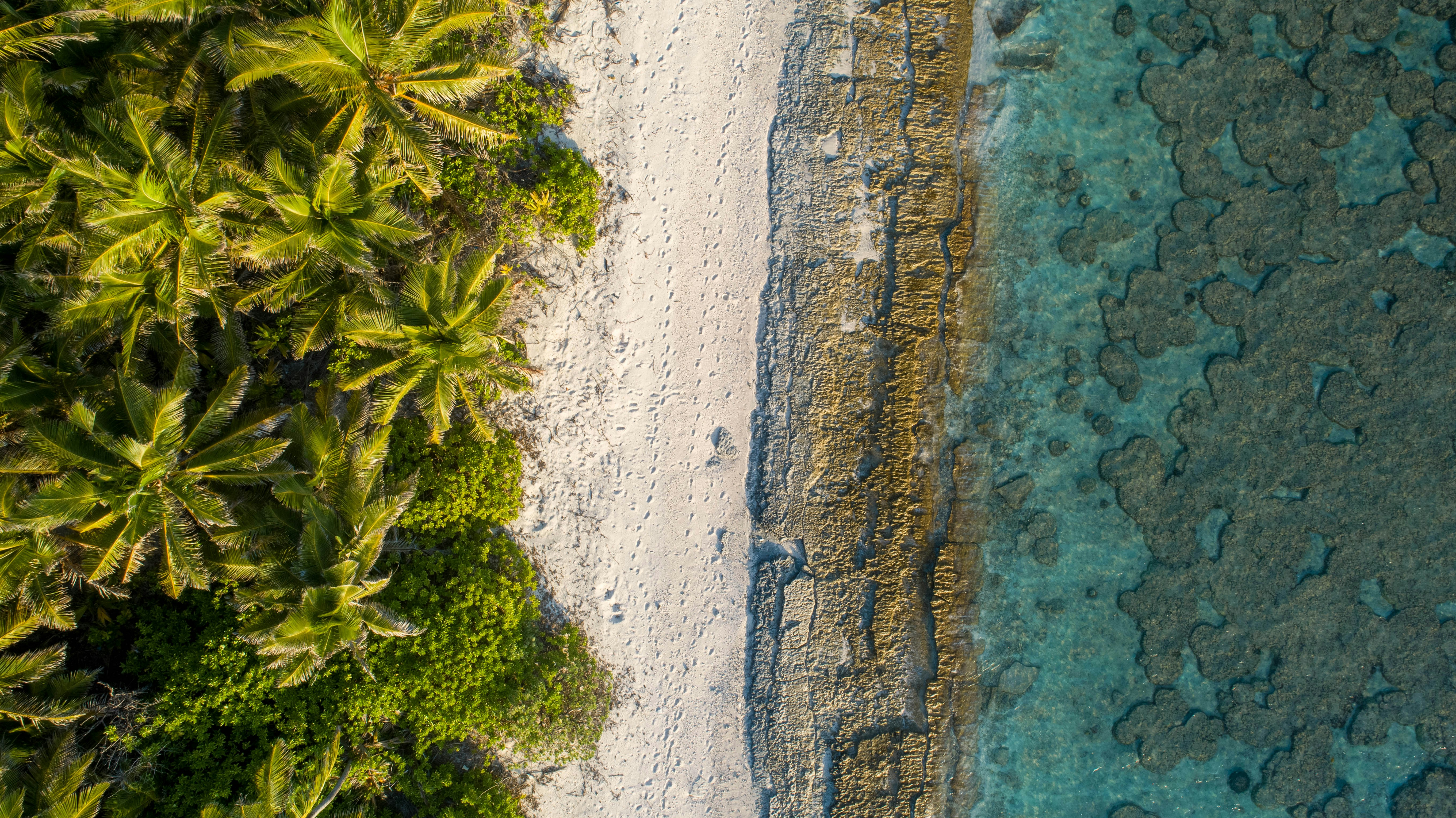 Photo by ___jiyad___