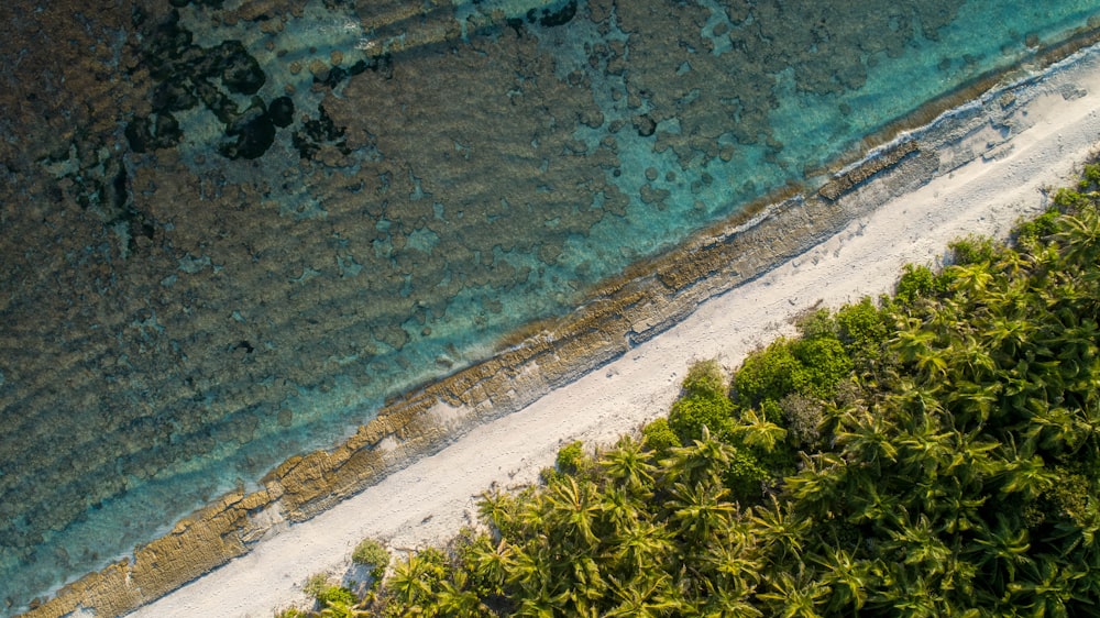 an aerial view of a sandy beach and water