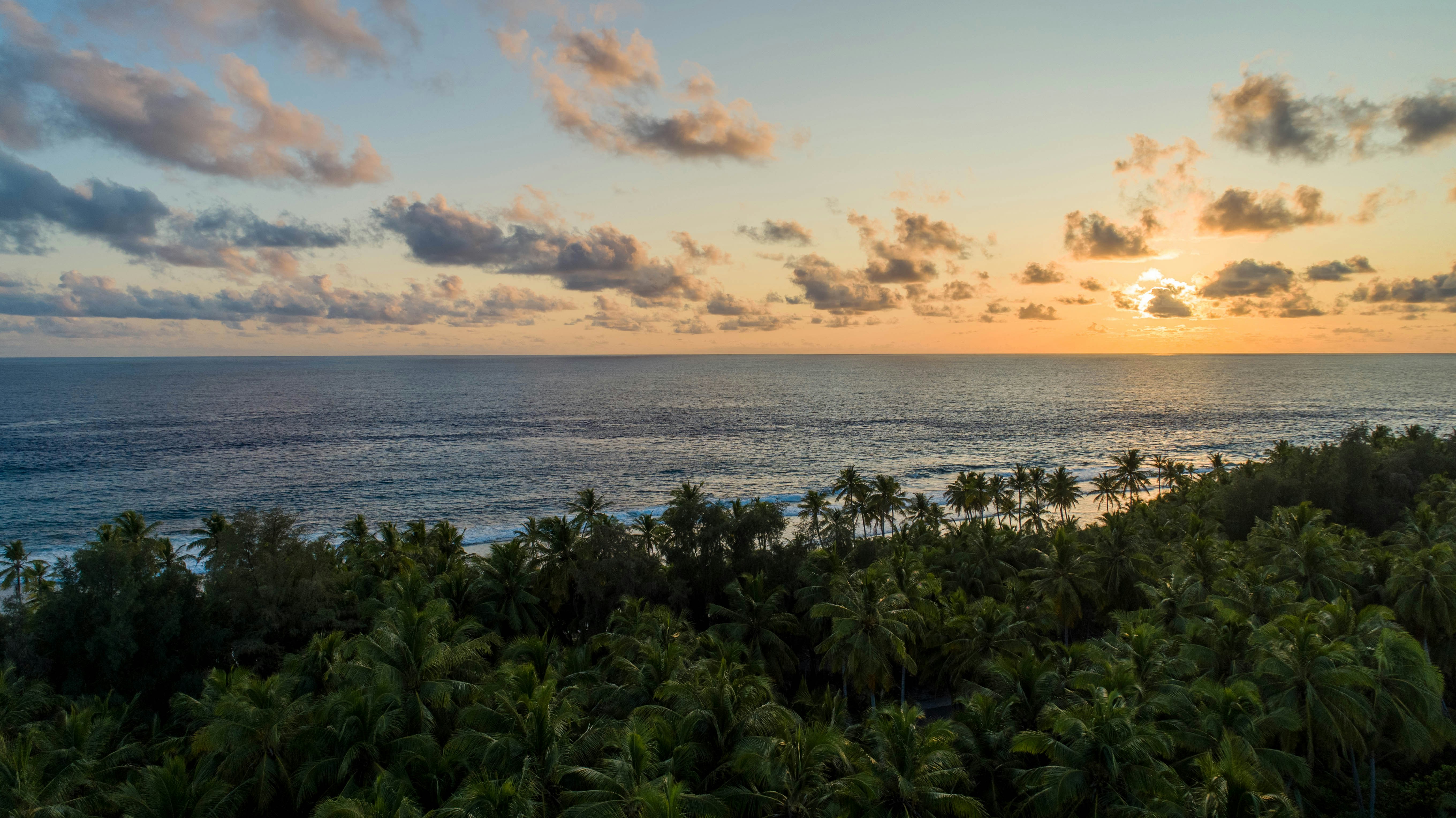 the sun is setting over the ocean with palm trees