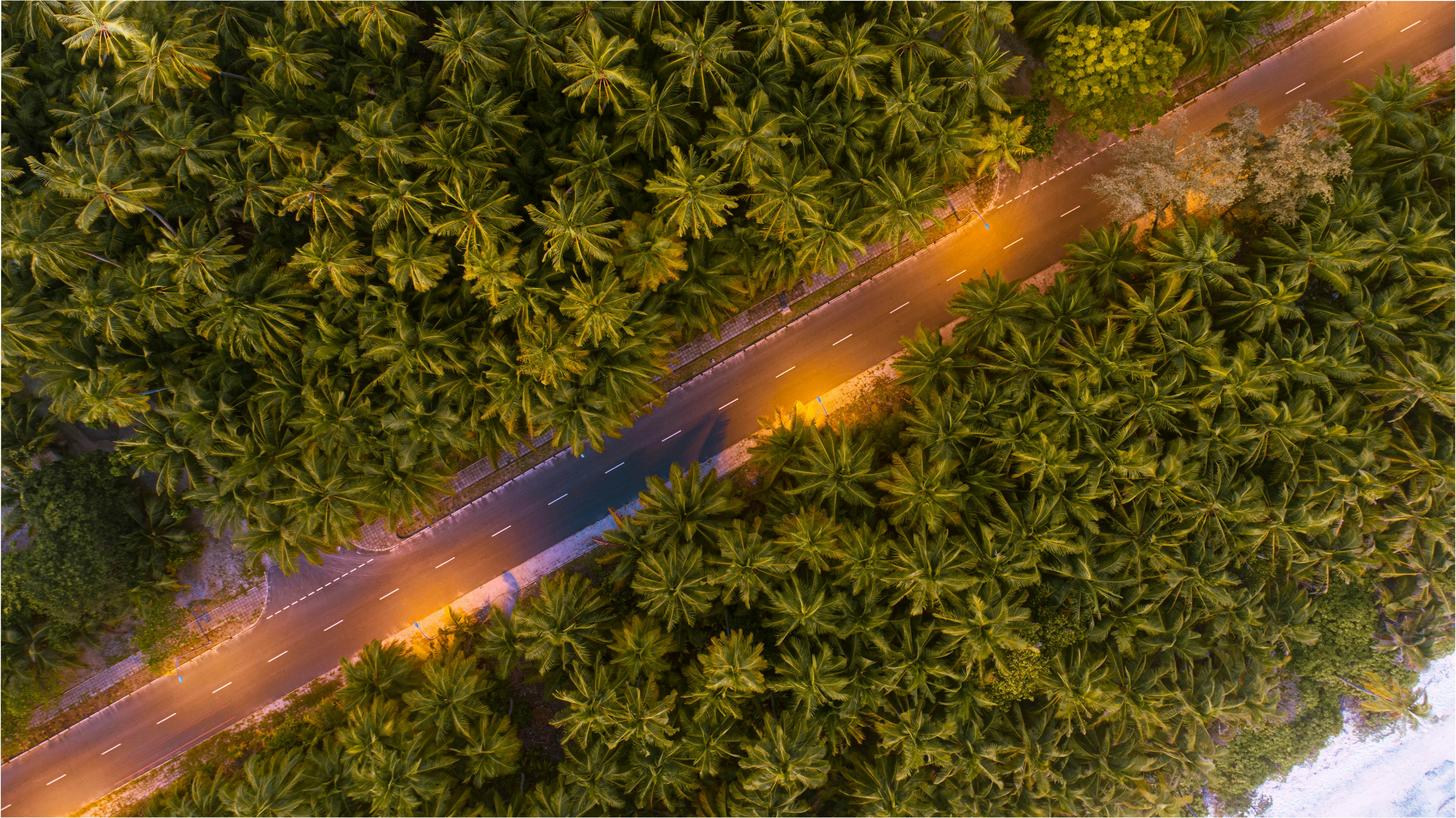 an aerial view of a road surrounded by trees