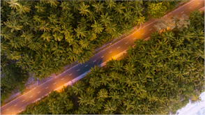 an aerial view of a road surrounded by trees
