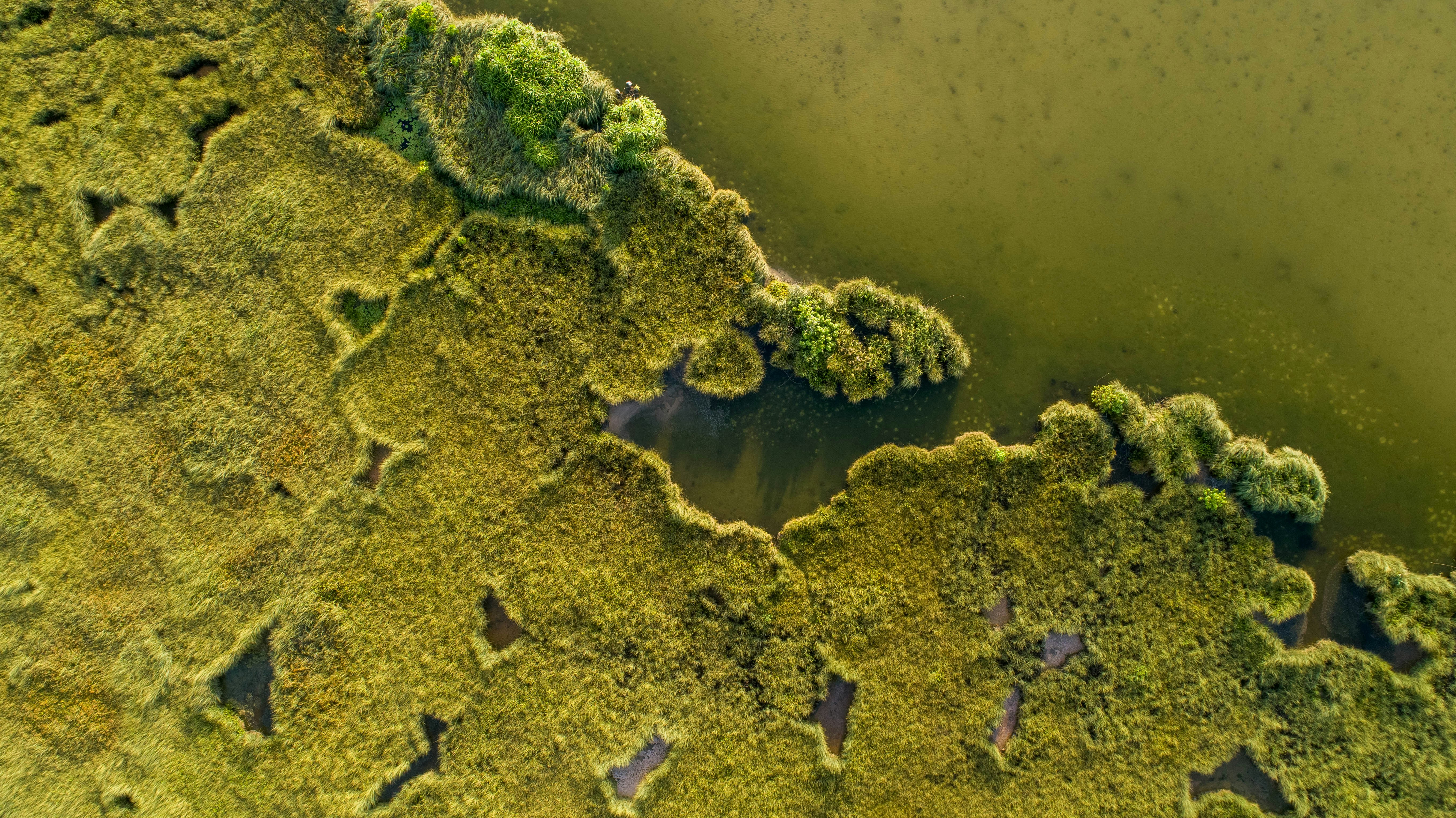 Photo by ___jiyad___