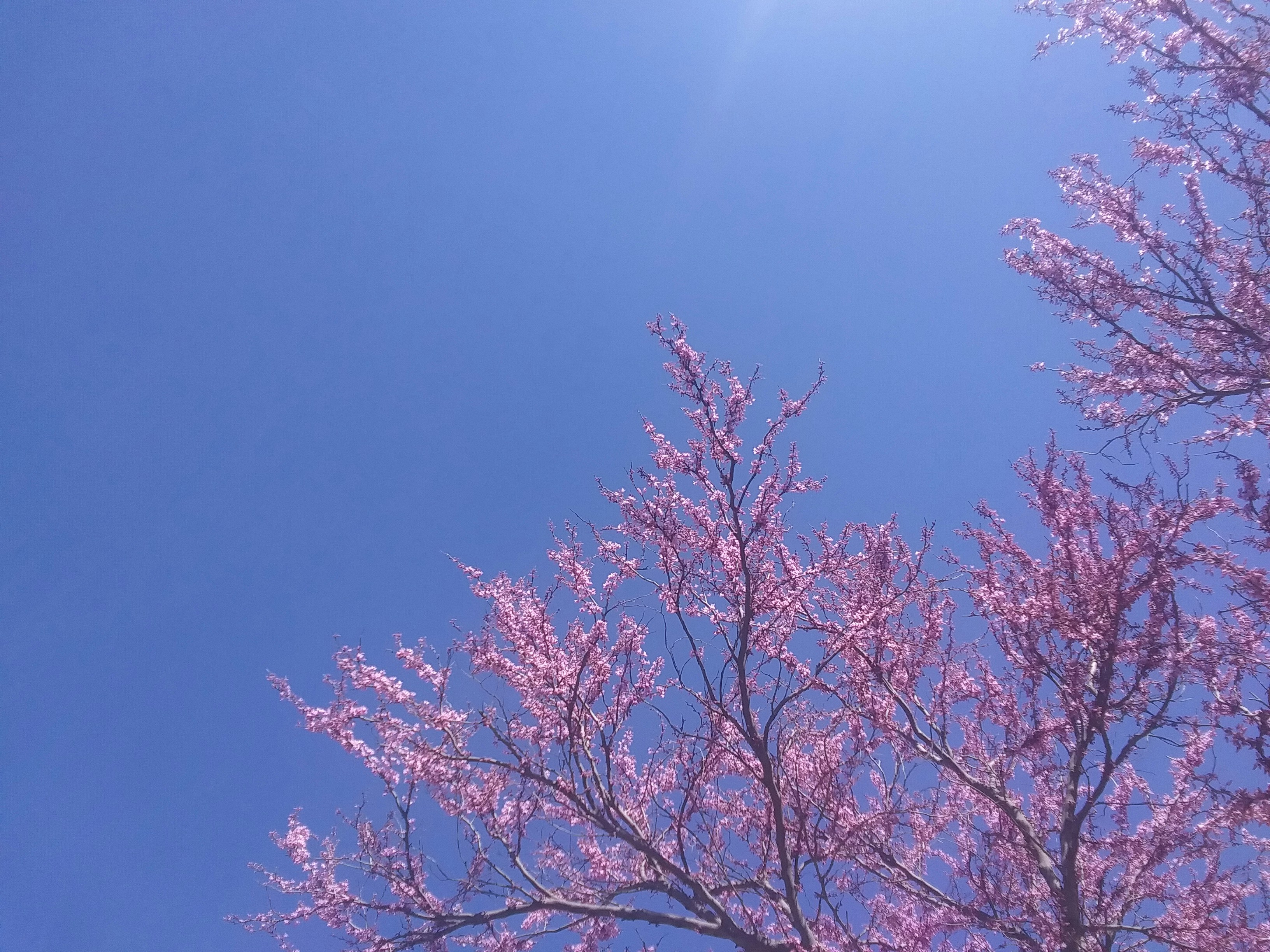 Photo by wildstyle07