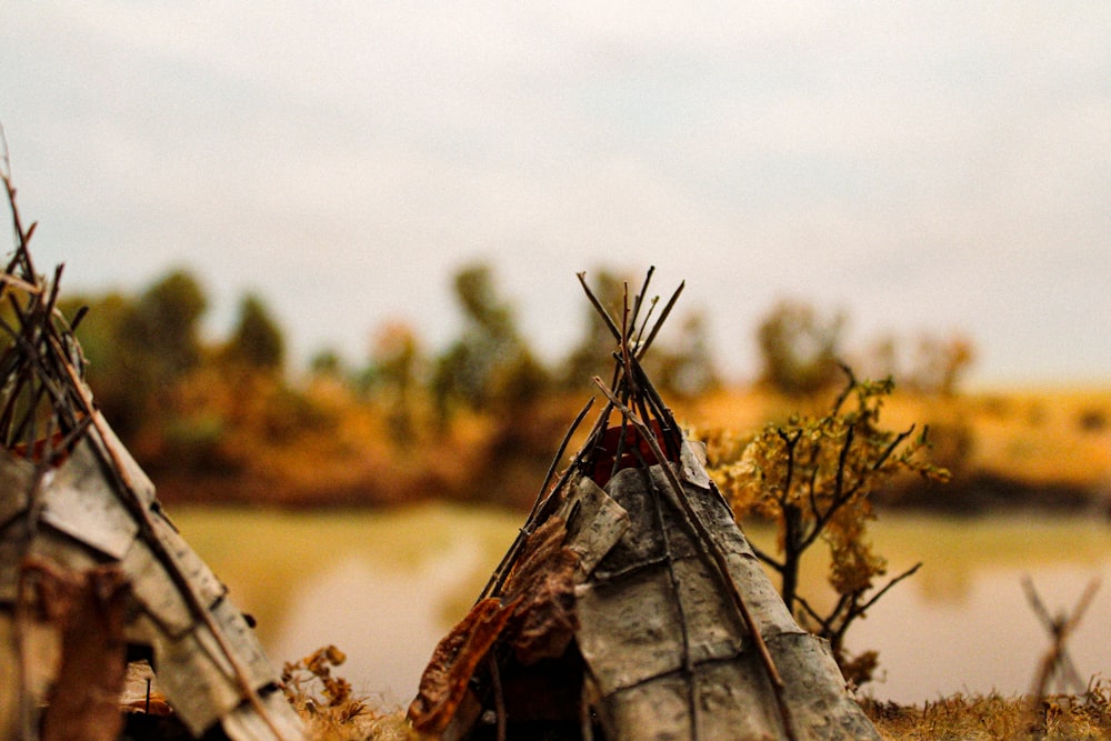 a group of teepee houses sitting next to a lake