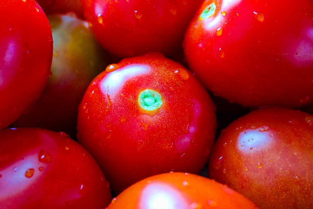 a close up of a bunch of tomatoes