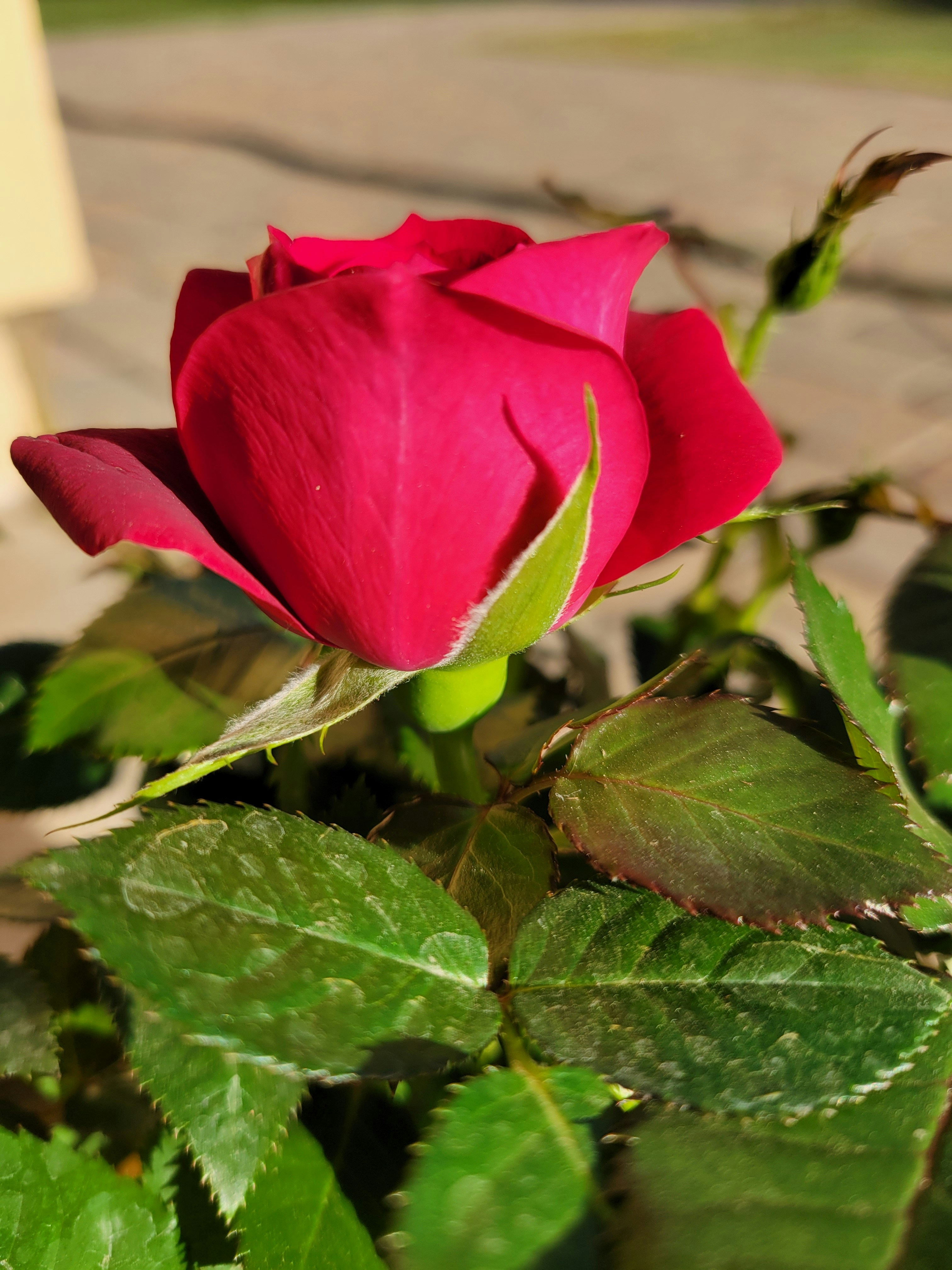 Photo by haripriya_k