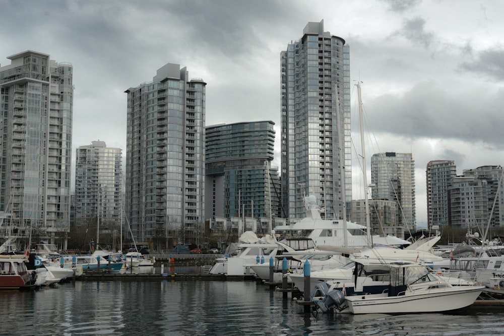 a group of boats docked in a harbor next to tall buildings