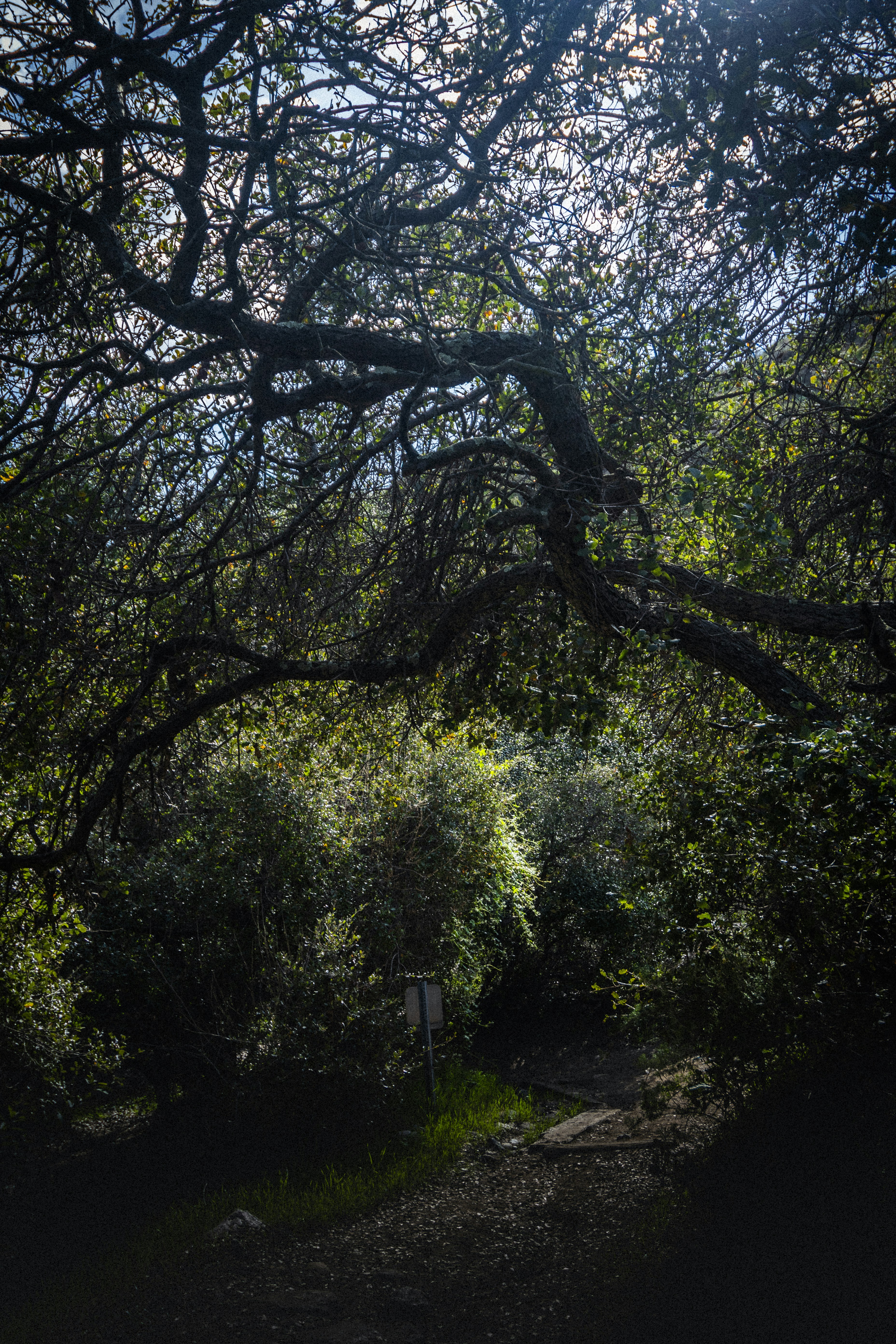 Photo by something_gabe