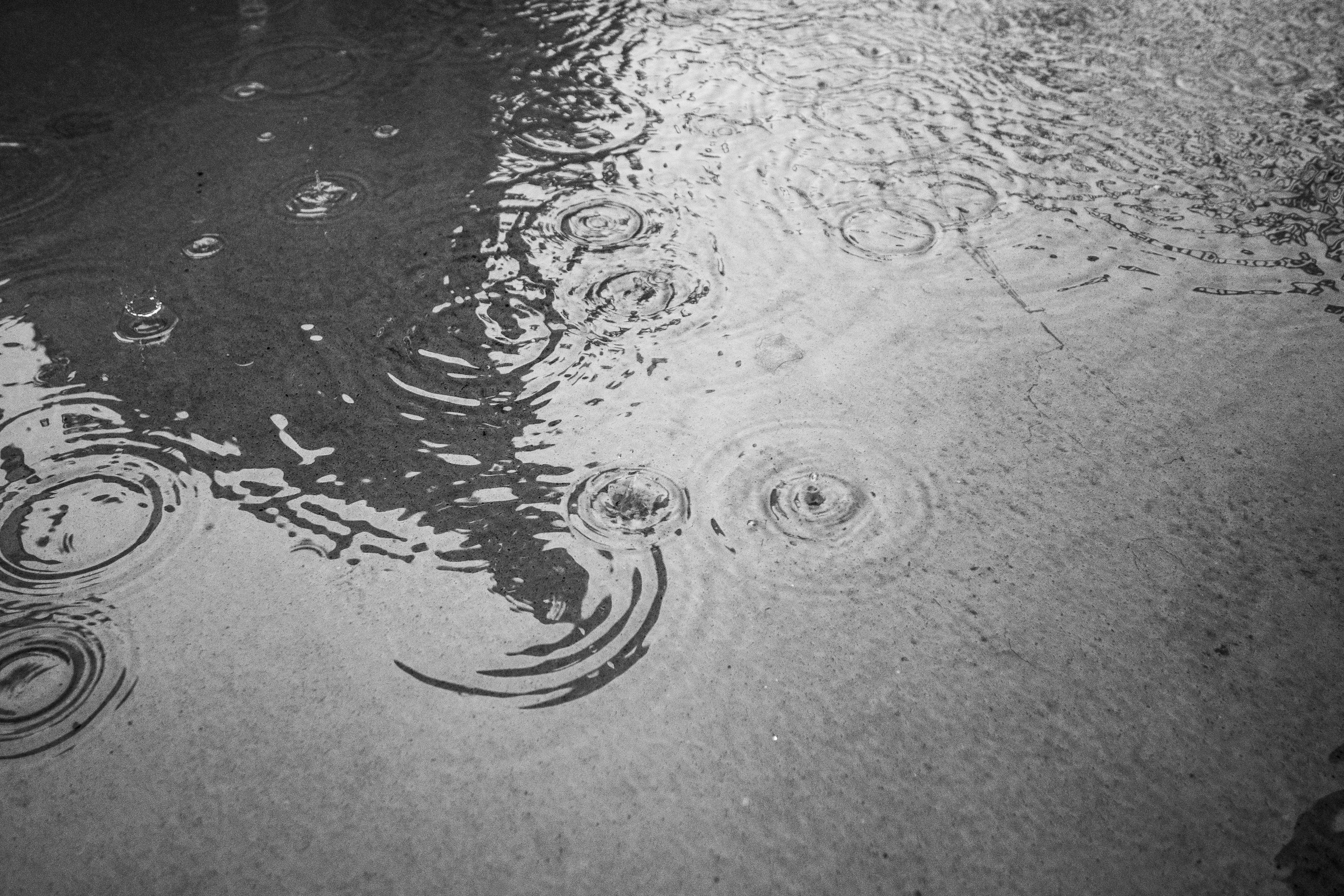 Photo by something_gabe