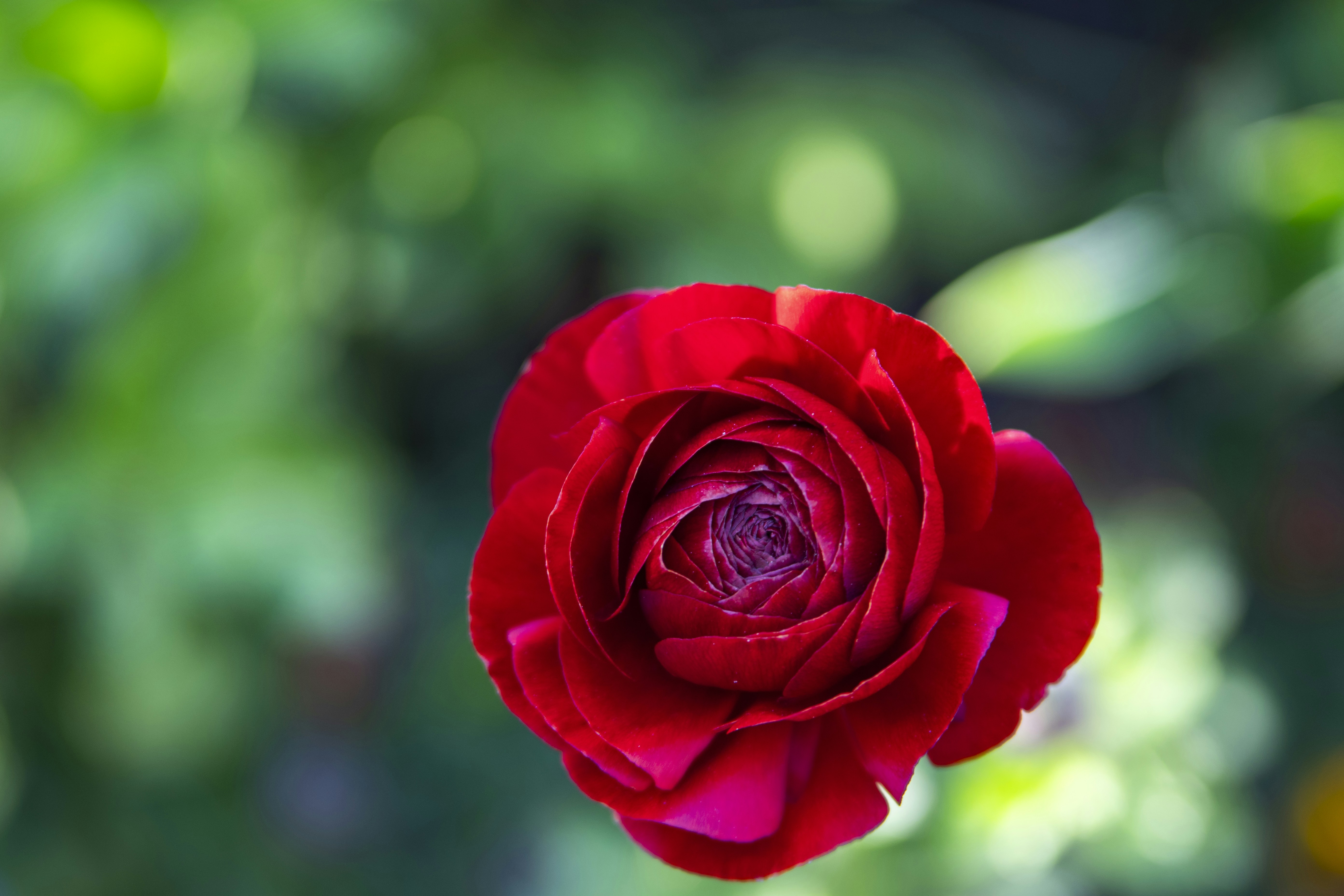 Photo by something_gabe