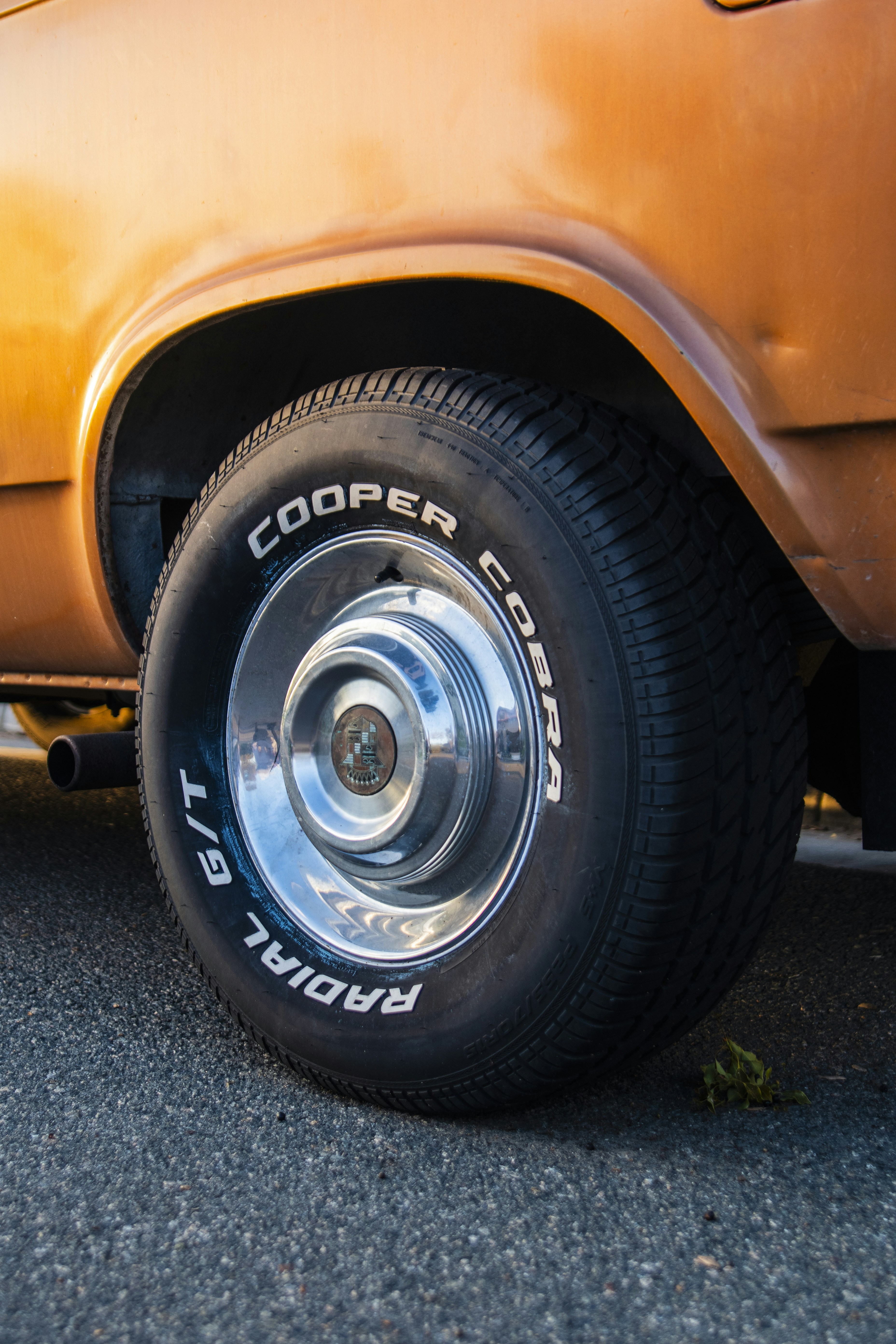 Photo by something_gabe