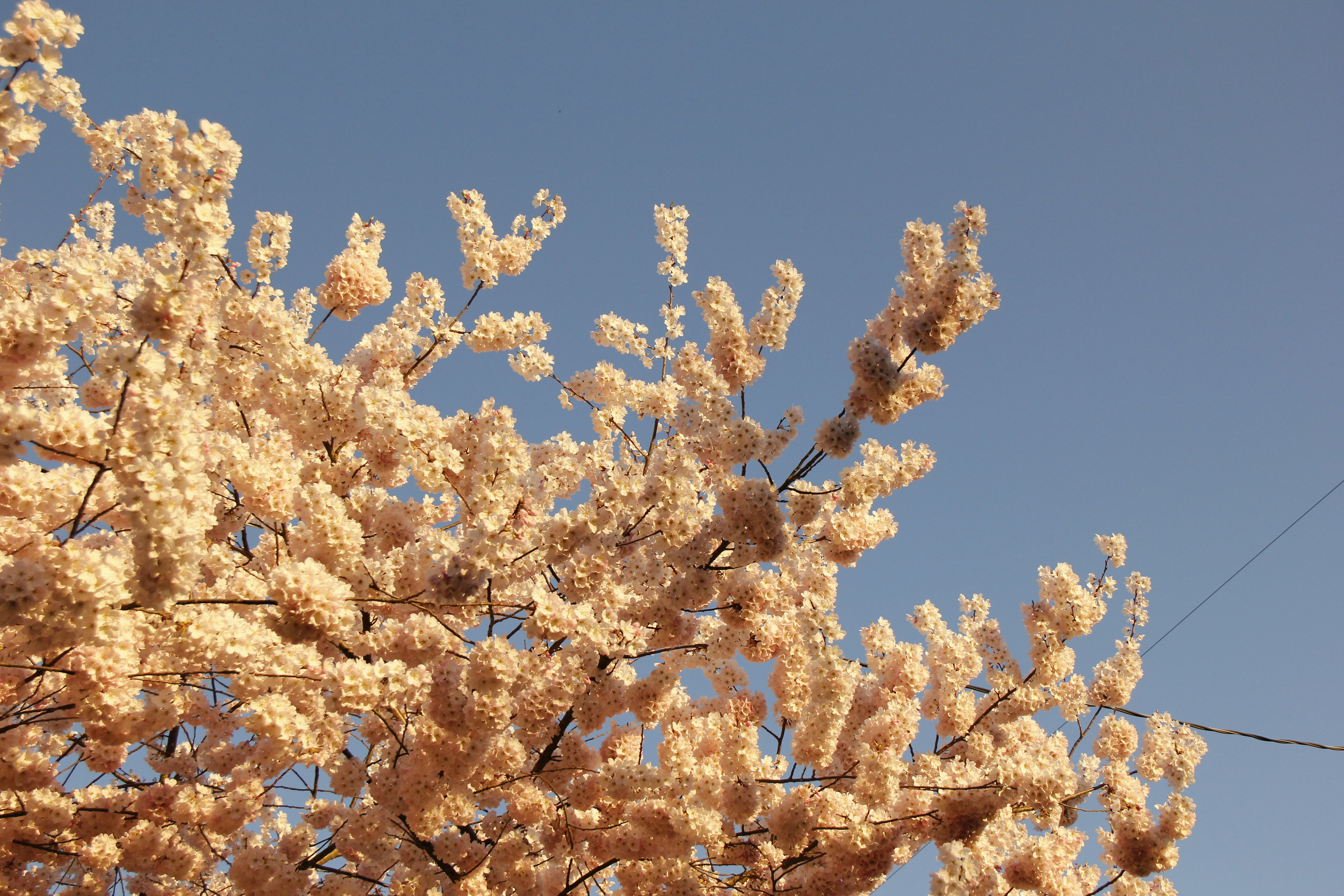 Photo by rileyrevell