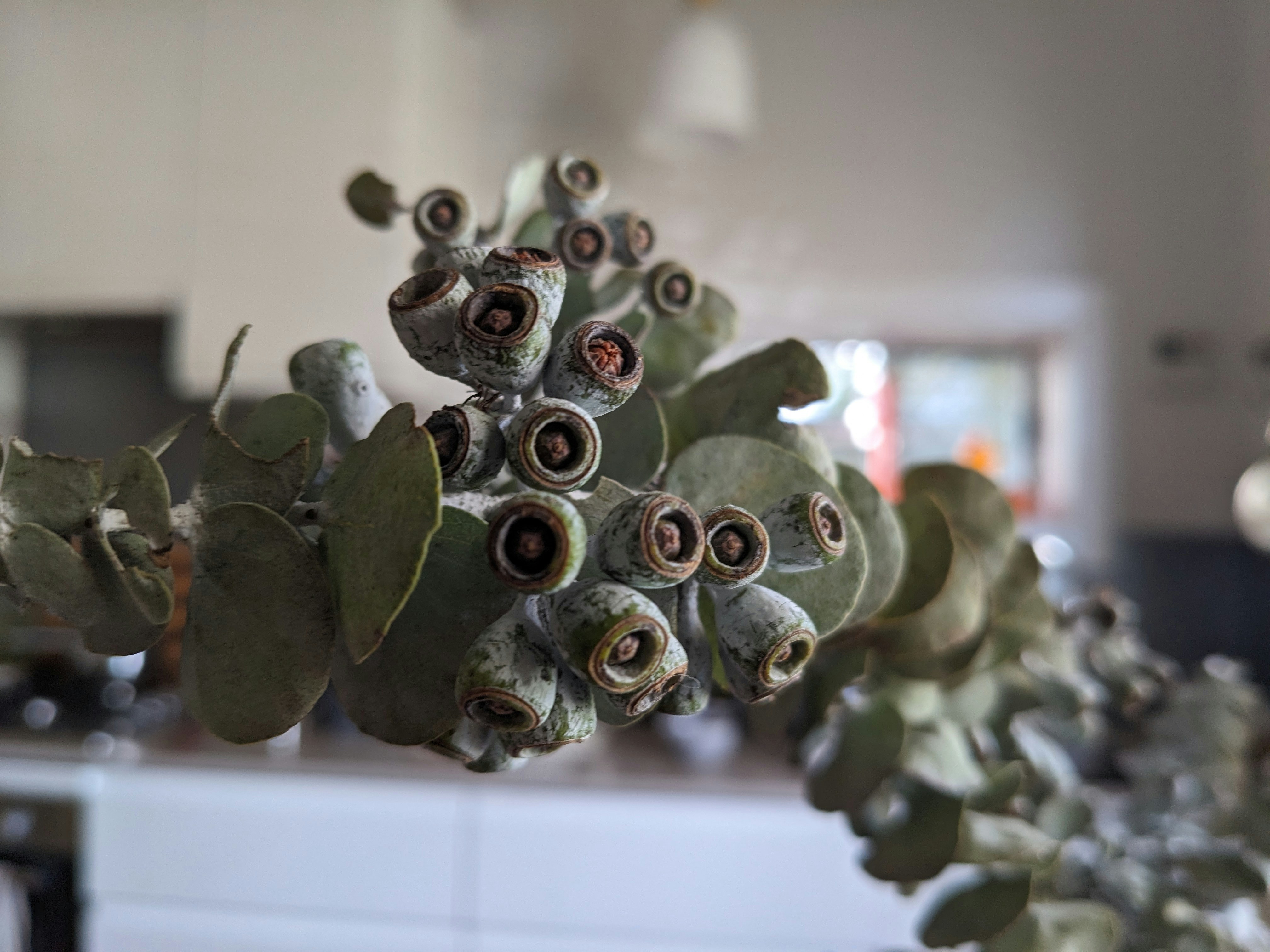 un gros plan d’un bouquet de fleurs sur une table