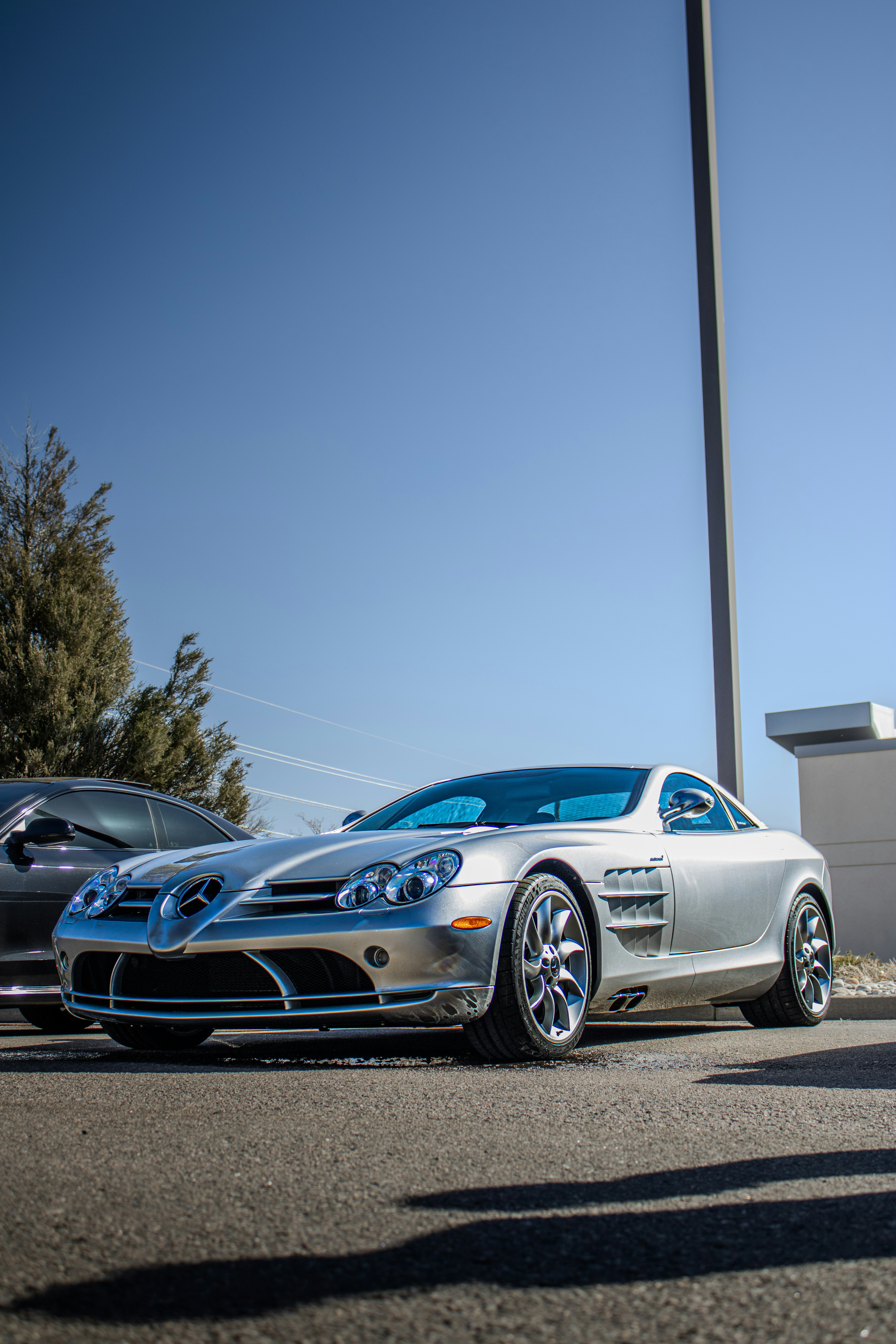 Photo by swanny__photography