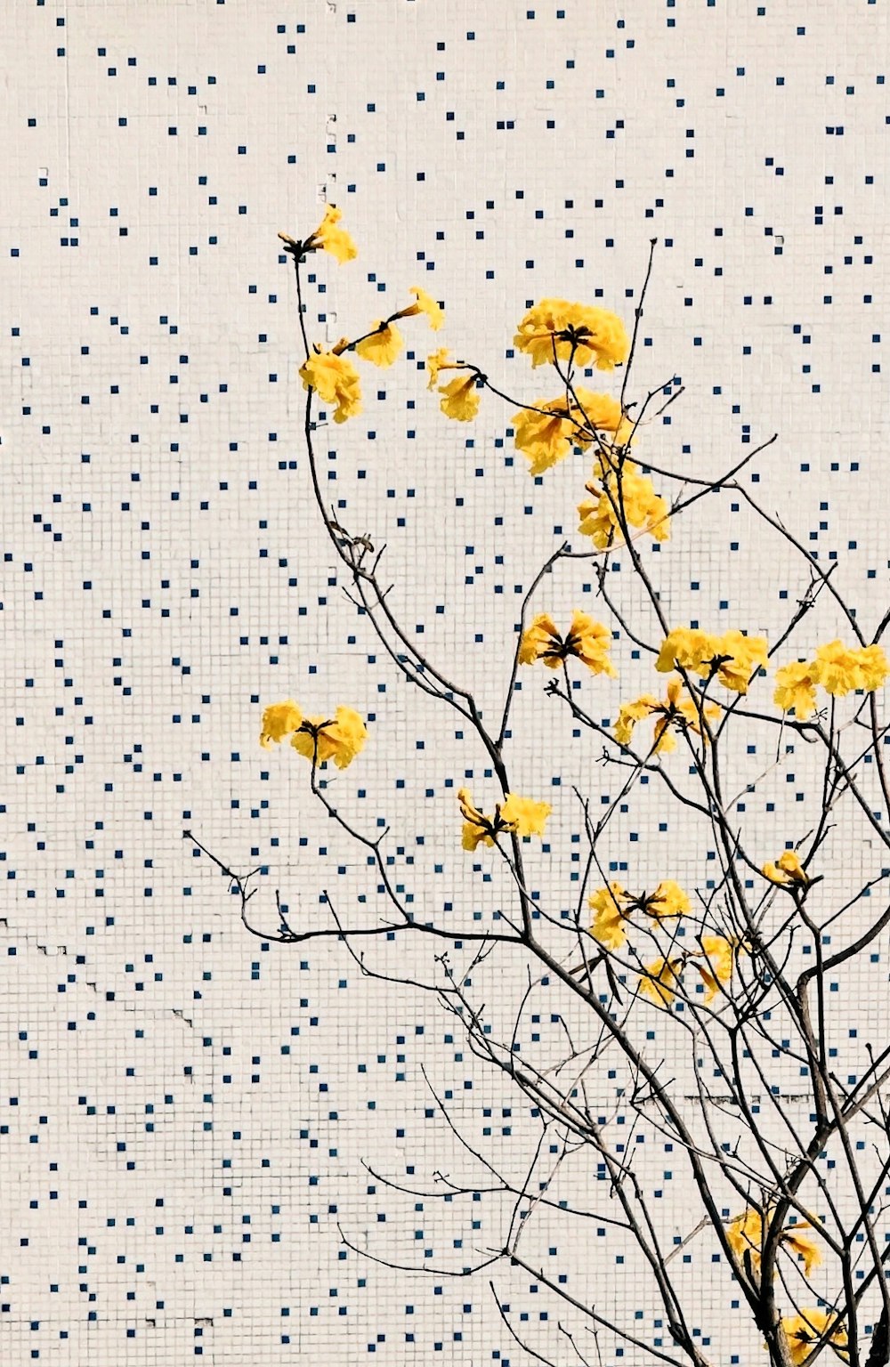 a tree with yellow flowers in front of a dotted wall