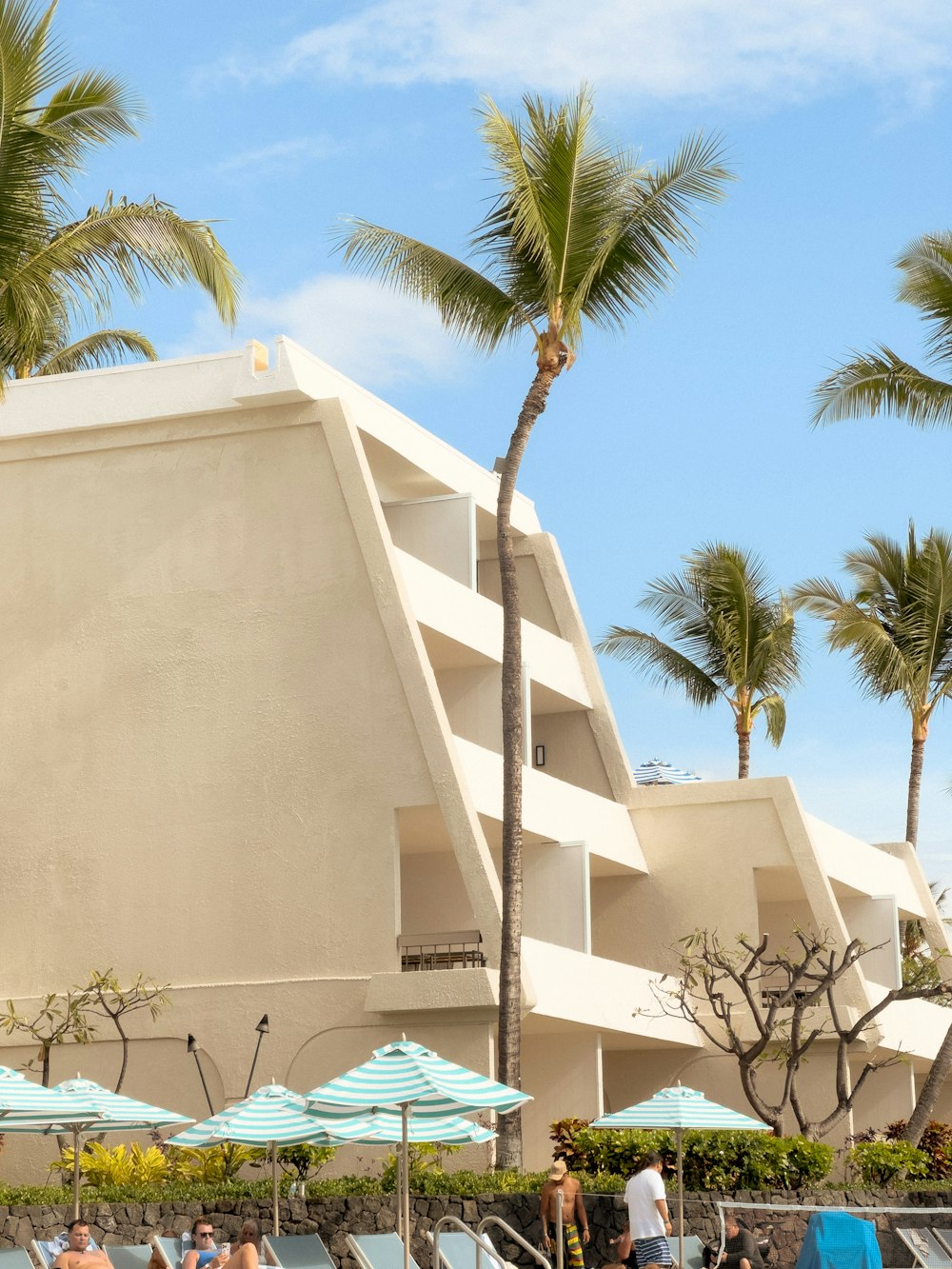 a group of people sitting on lounge chairs under palm trees