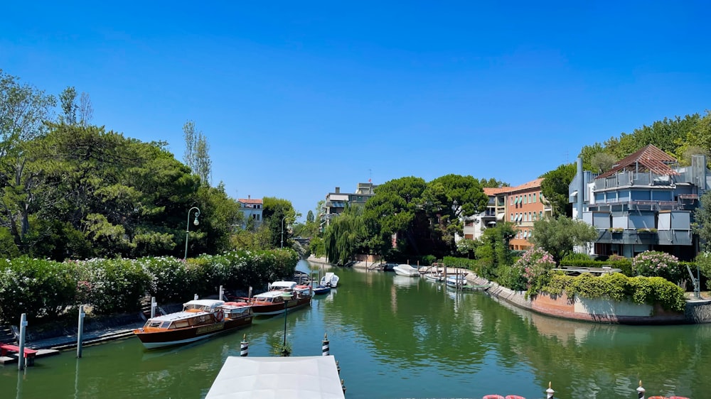 a body of water surrounded by trees and buildings