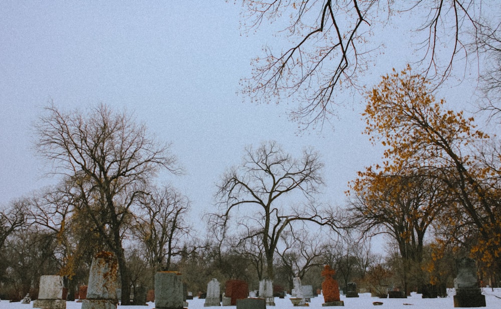 a cemetery in the middle of a snowy day