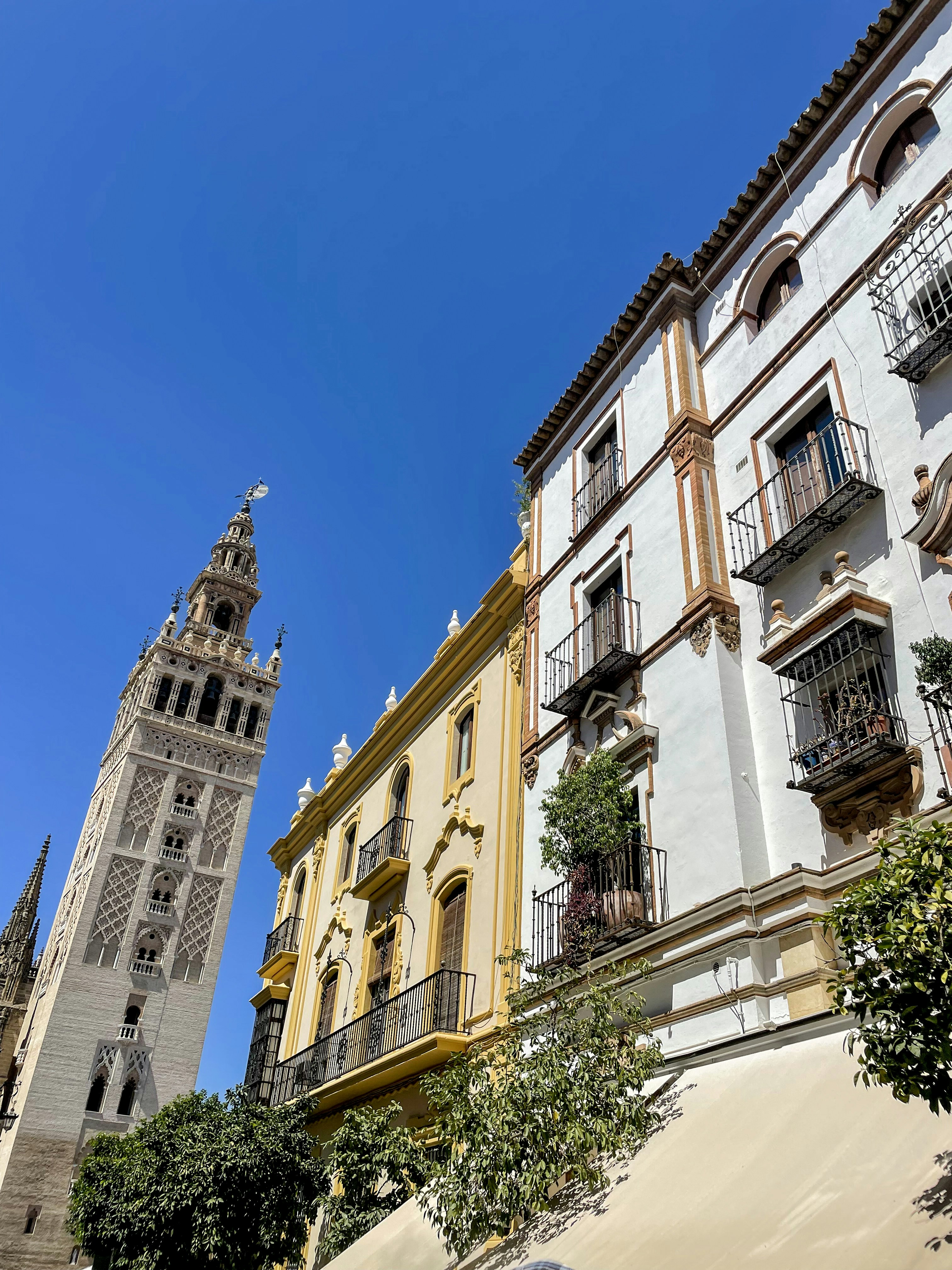 Photo by jessalundquist