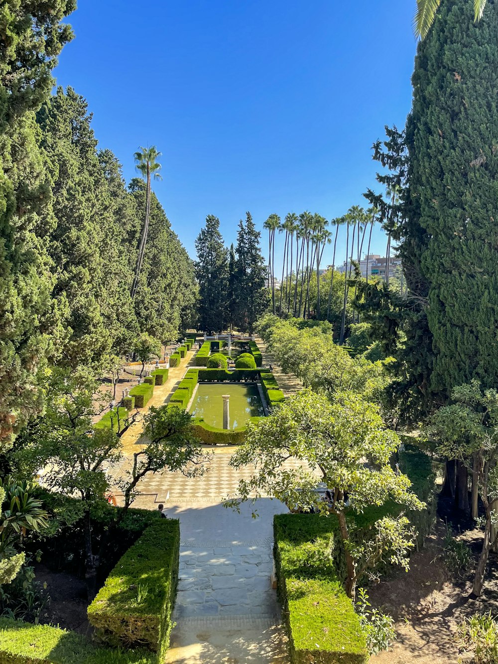 a view of a garden from a high point of view