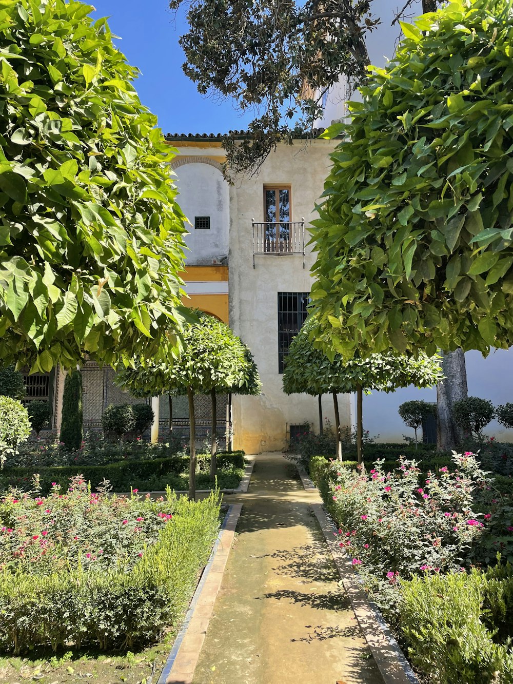 a house with trees and flowers in front of it