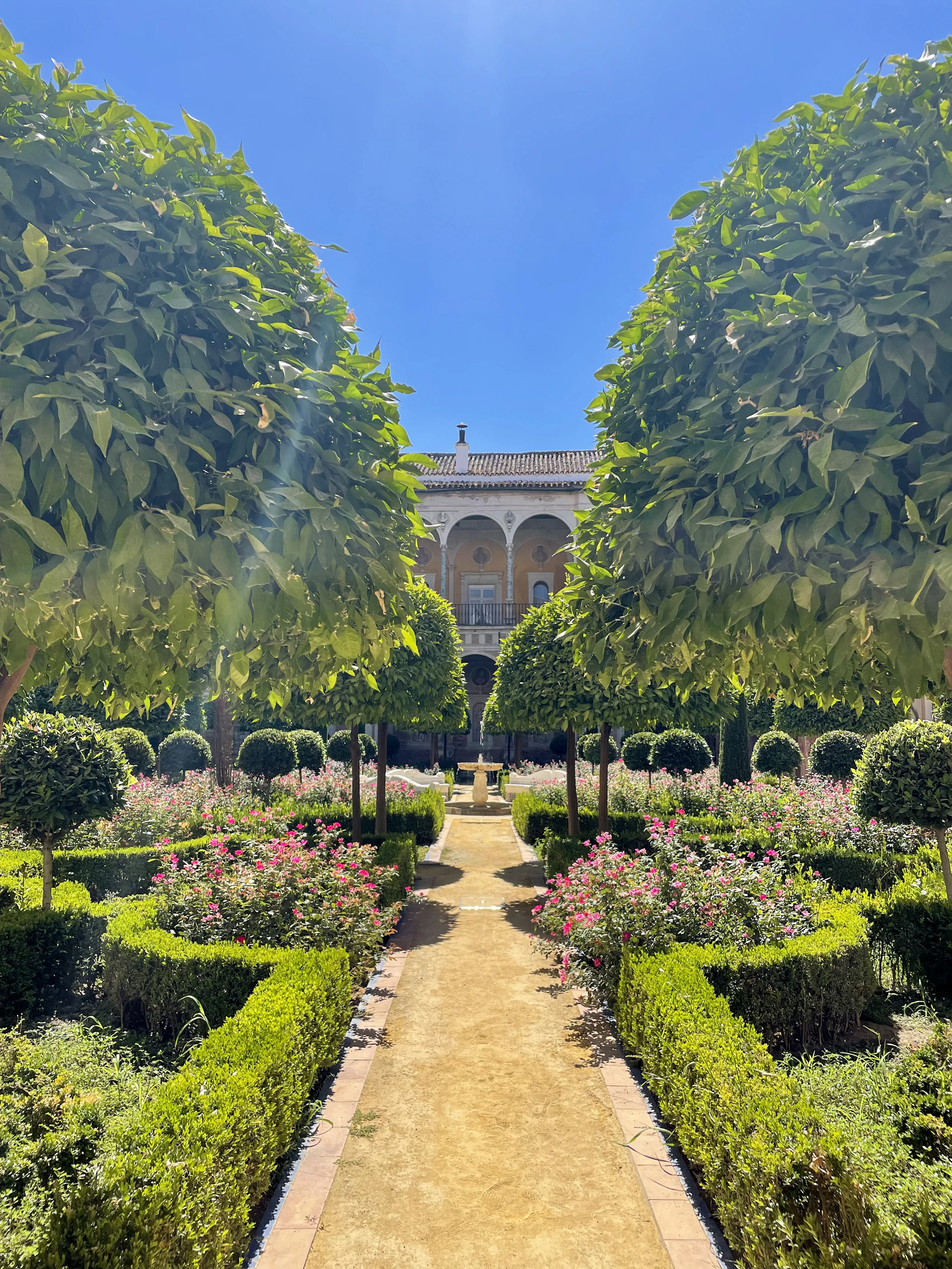 a garden with a walkway between two trees