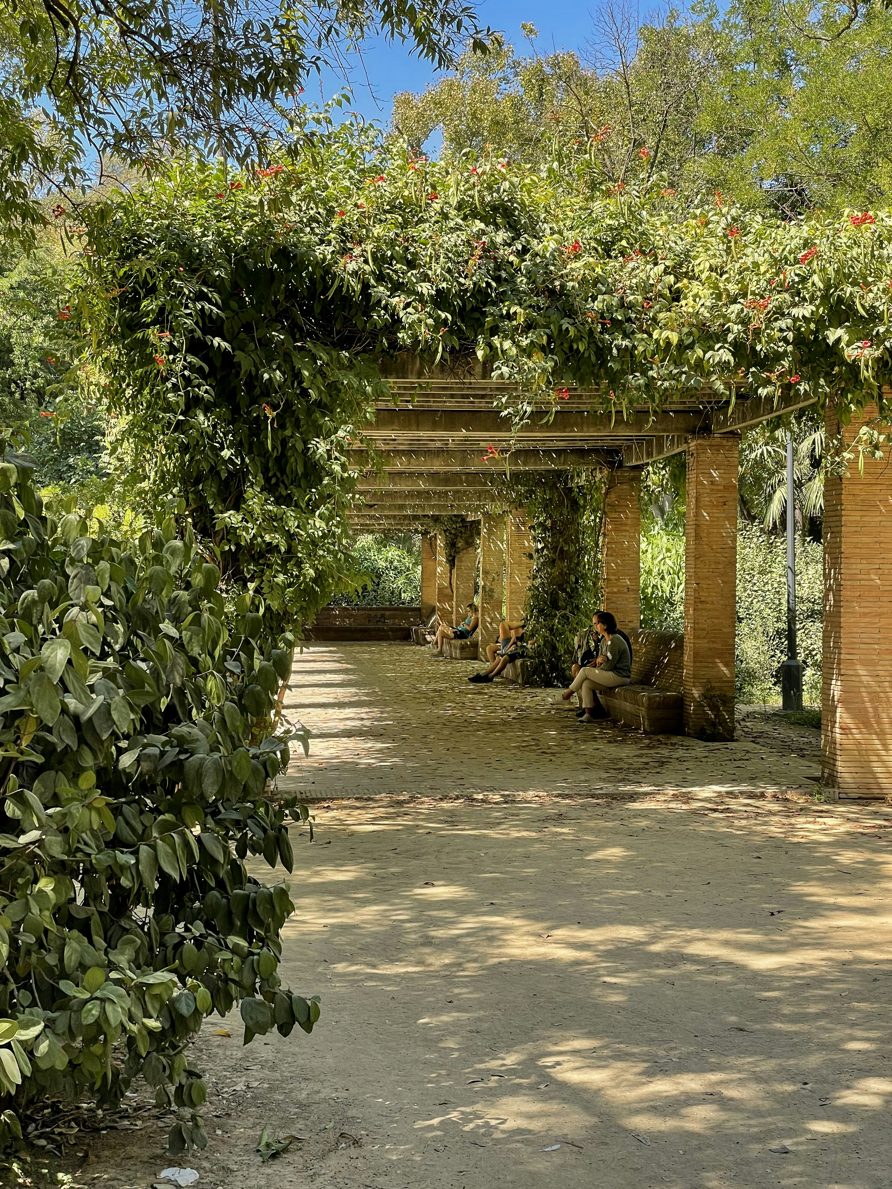 Photo by jessalundquist