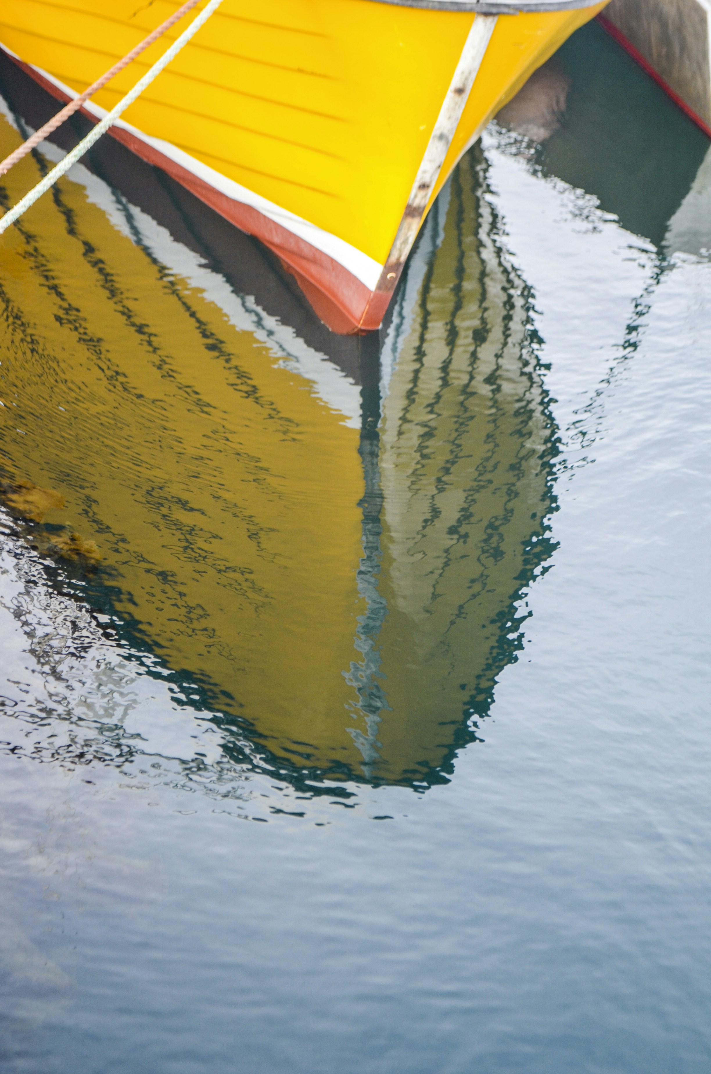 Photo by jessalundquist