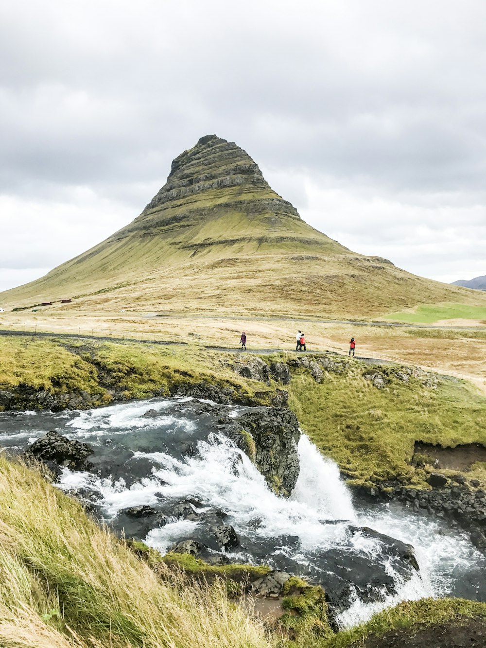 a group of people standing on top of a lush green hillside