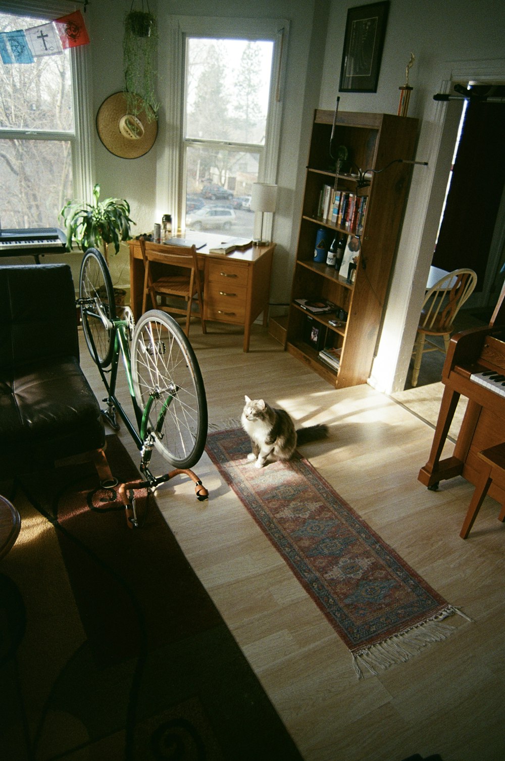 a cat sitting on a rug in a living room