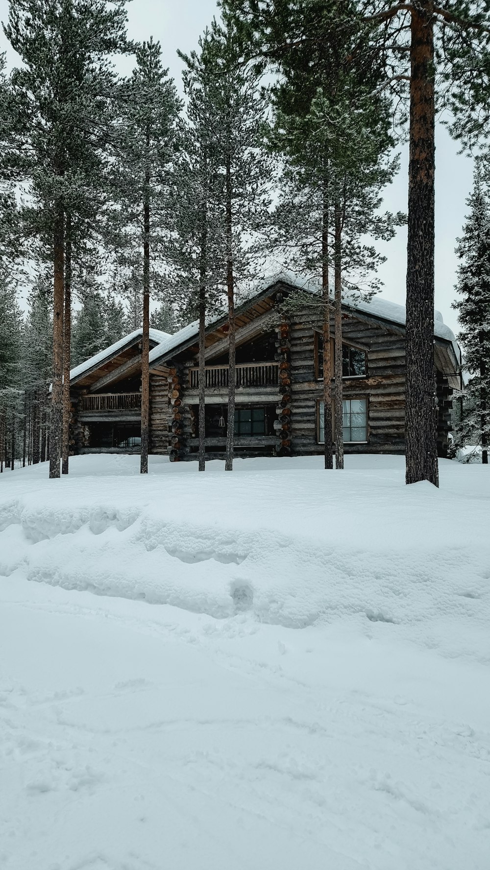 a log cabin in the middle of a snowy forest