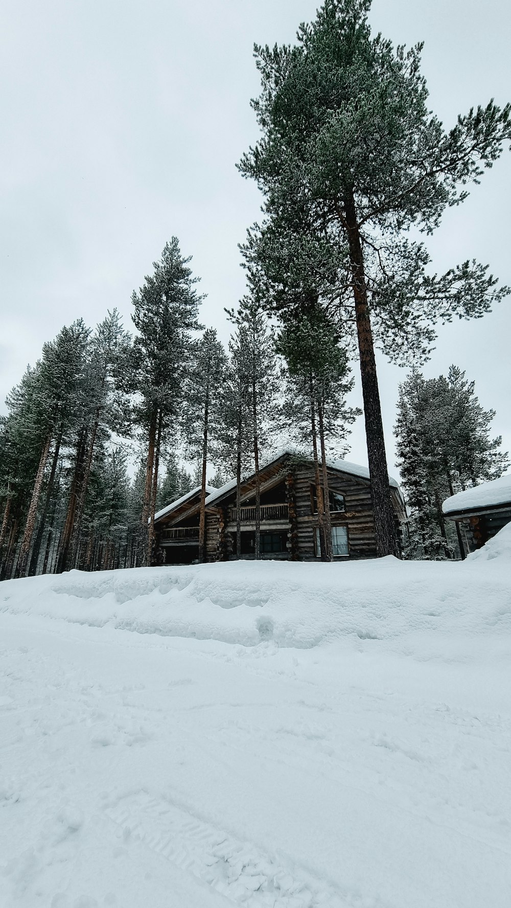 a cabin in the middle of a snowy forest