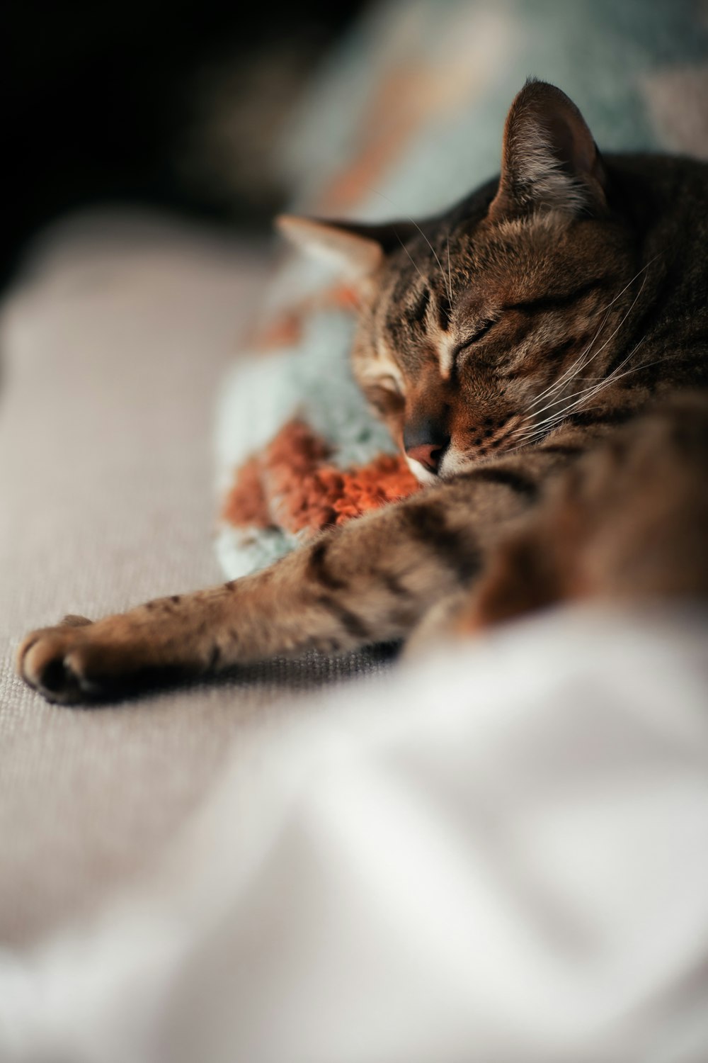 a cat is sleeping on a bed with its eyes closed