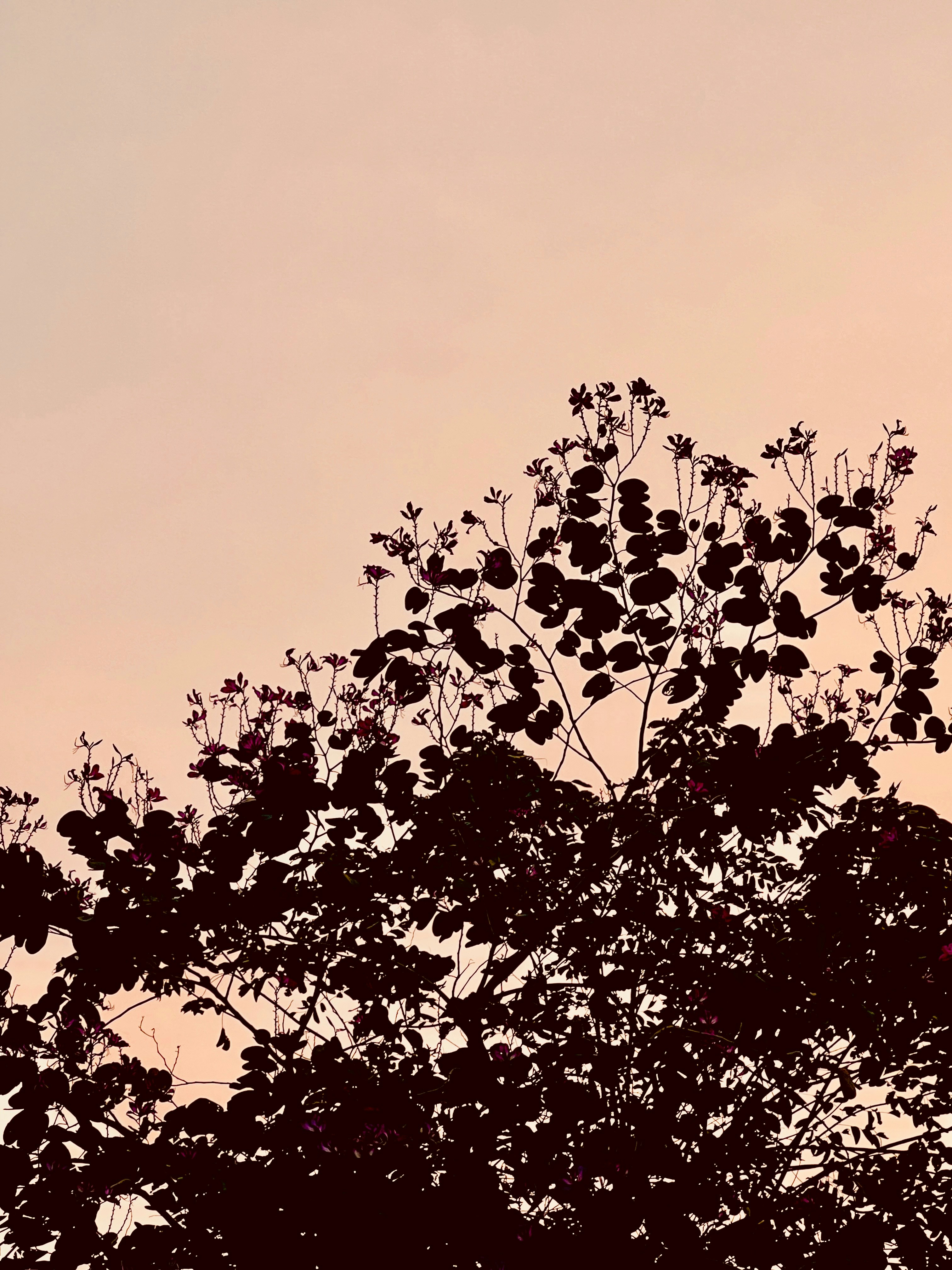 Photo by thanhliem178